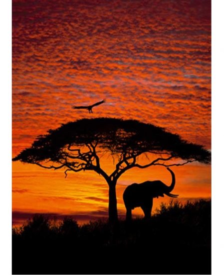 African Sunset