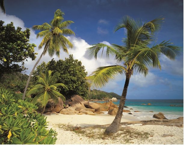 Palmestrand Praslin