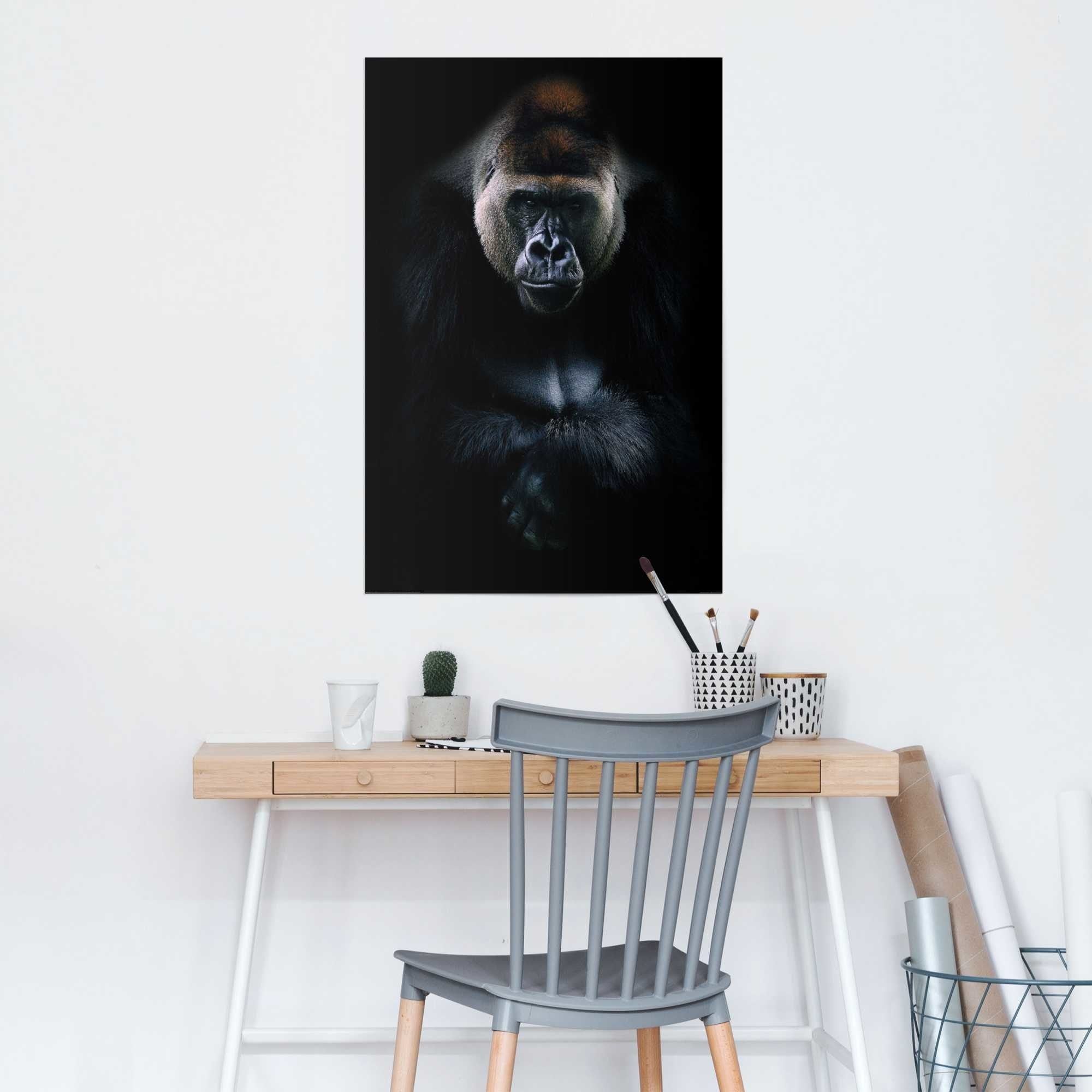 Plakat med Gorilla i sort nuancer 61X91,5cm. - Køb stor poster med abe