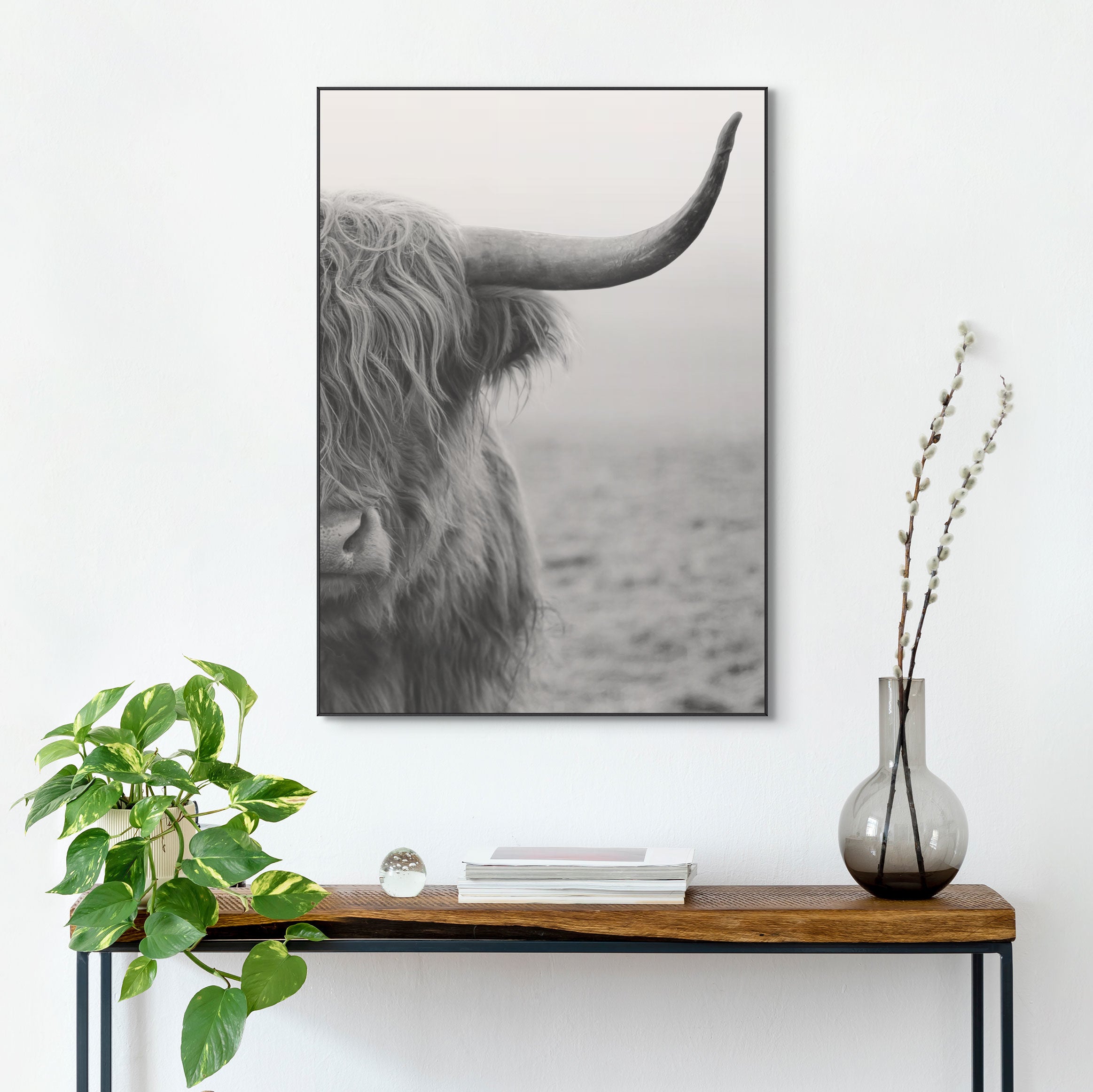 Highlander Tyr i sort-hvid i ramme 50X70cm. fotokunst - Plakat i sort ramme