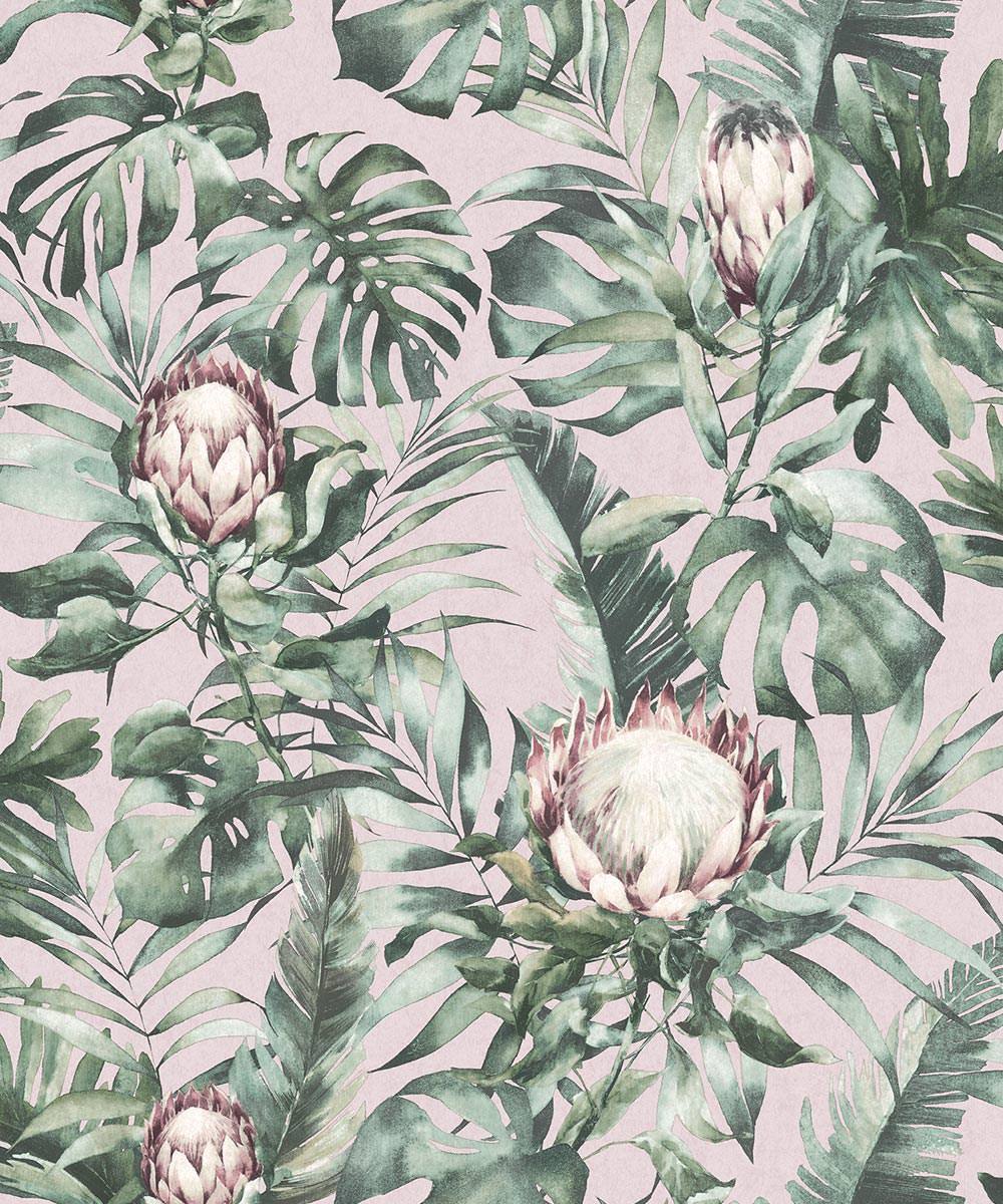 Protea blomster og palmeblade på pink baggrund - Køb tapet med botanisk look