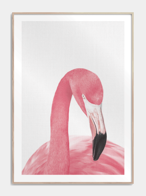 Posing flamingo Pink A3 plakat - Køb plakater med dyr