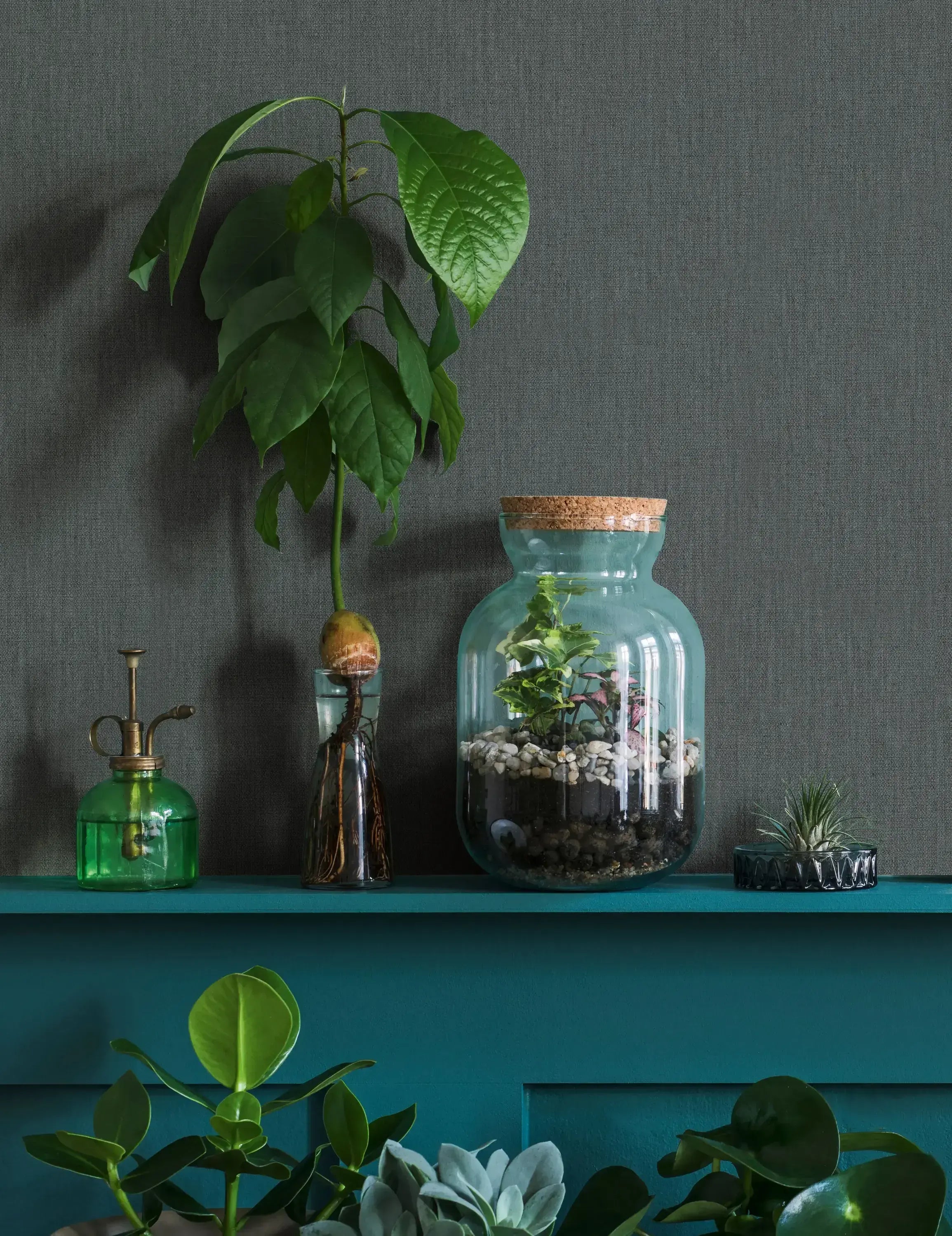 Interiørbillede med Botanic Texture - Denim tapet på væggen, dekoreret med planter og glasbeholdere.