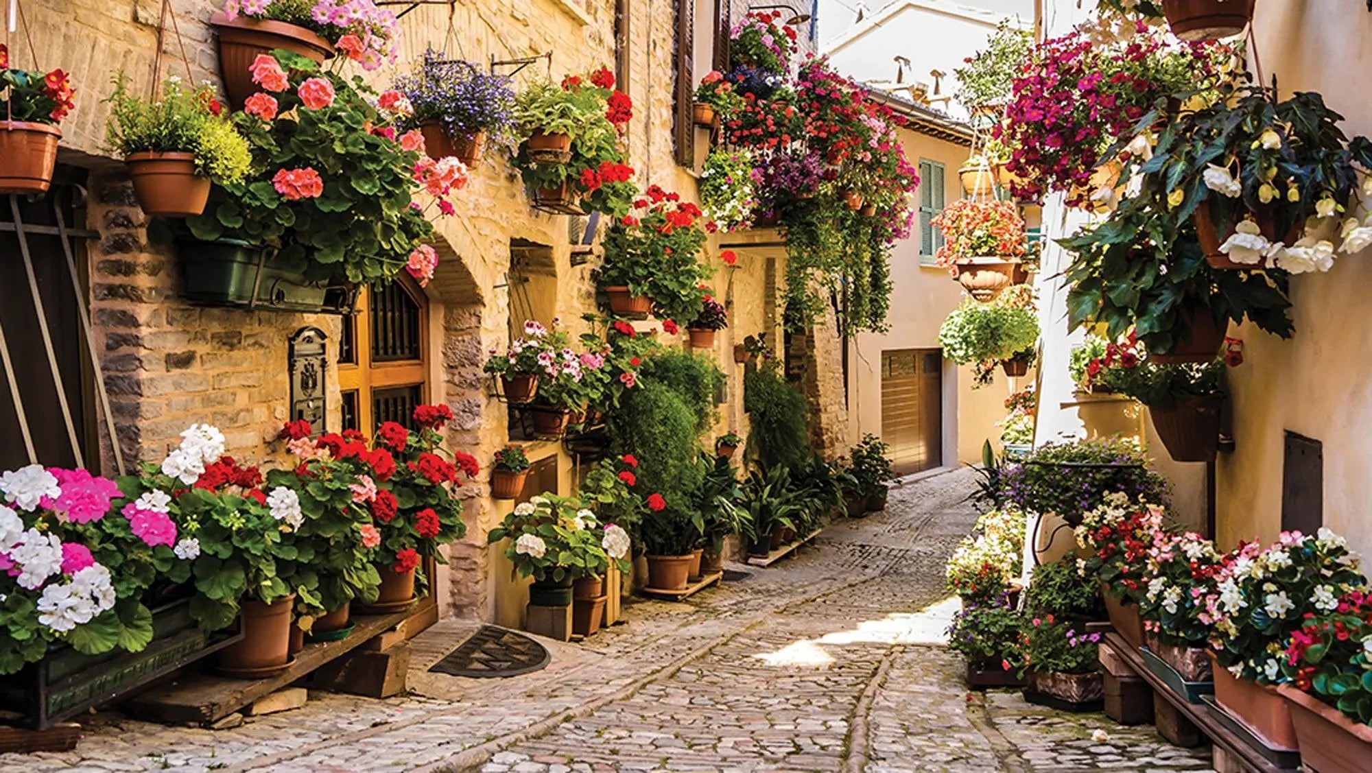 Billede 1 af Fototapet - Brostensbelagt gyde med blomster i krukker på vægge og vindueskarme