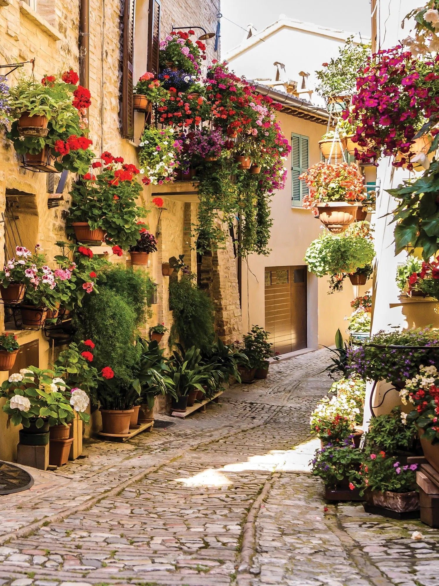 Billede 8 af Fototapet - Brostensbelagt gyde med blomster i krukker på vægge og vindueskarme