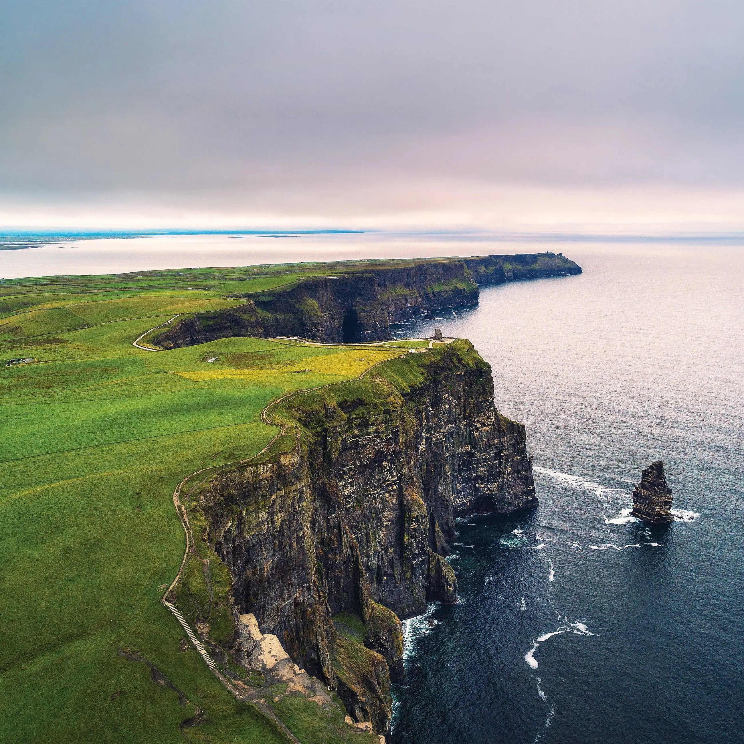 Billede 15 af Fototapet - Cliffs of Moher med græsmarker og hav i Irland