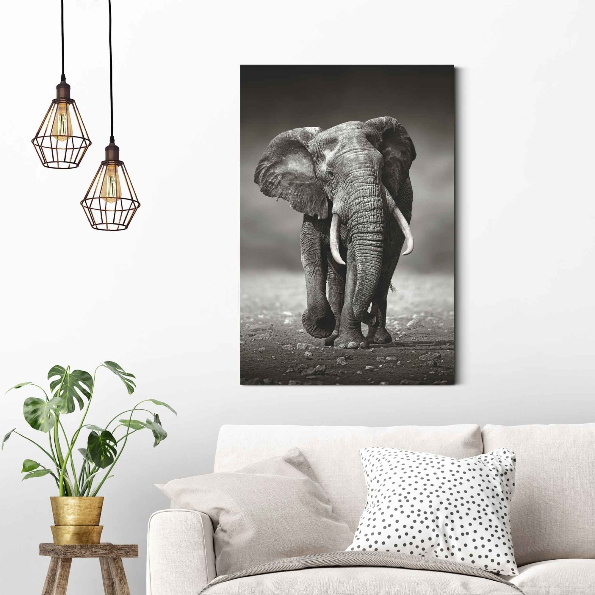 Gående elefant i sort hvid fotokunst vægpanel 60X90cm.  - Køb plakat billede til væg