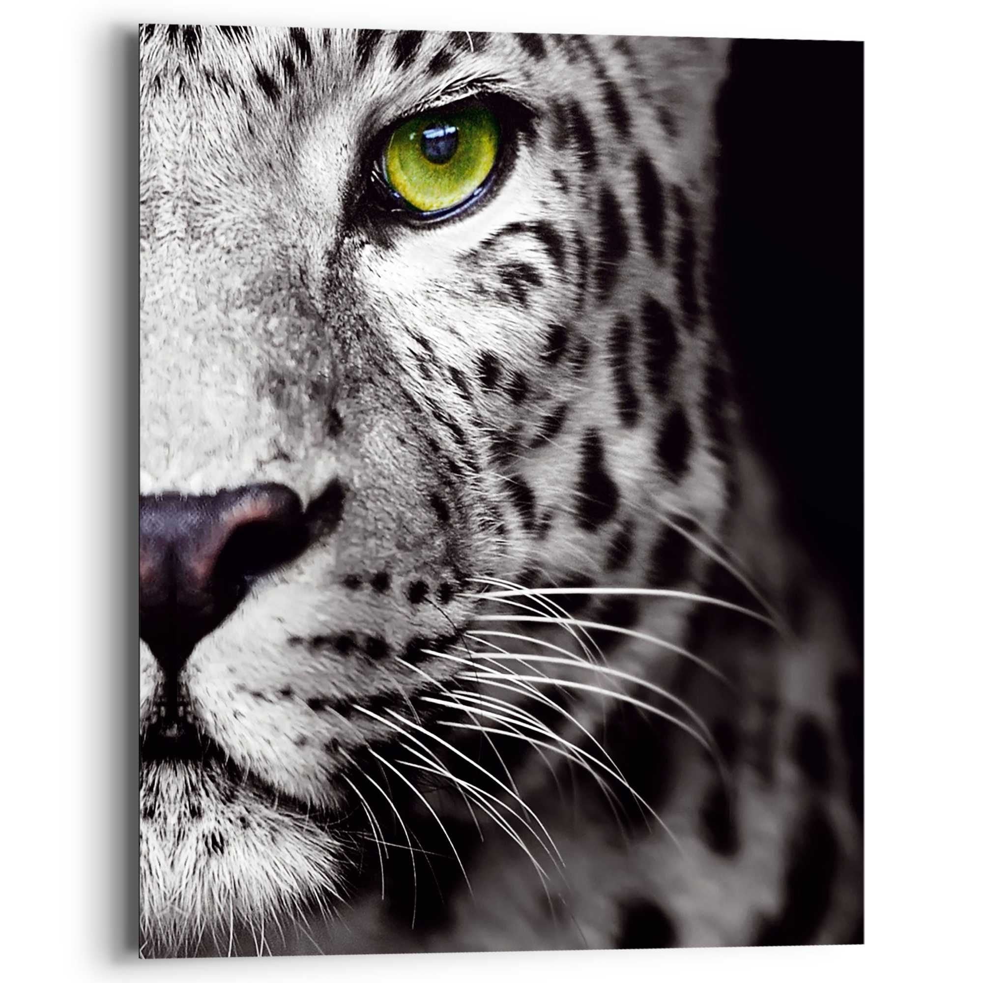 Leopard hovede sort hvid fotokunst 40X50cm. - Køb fotokunst billede til væggen