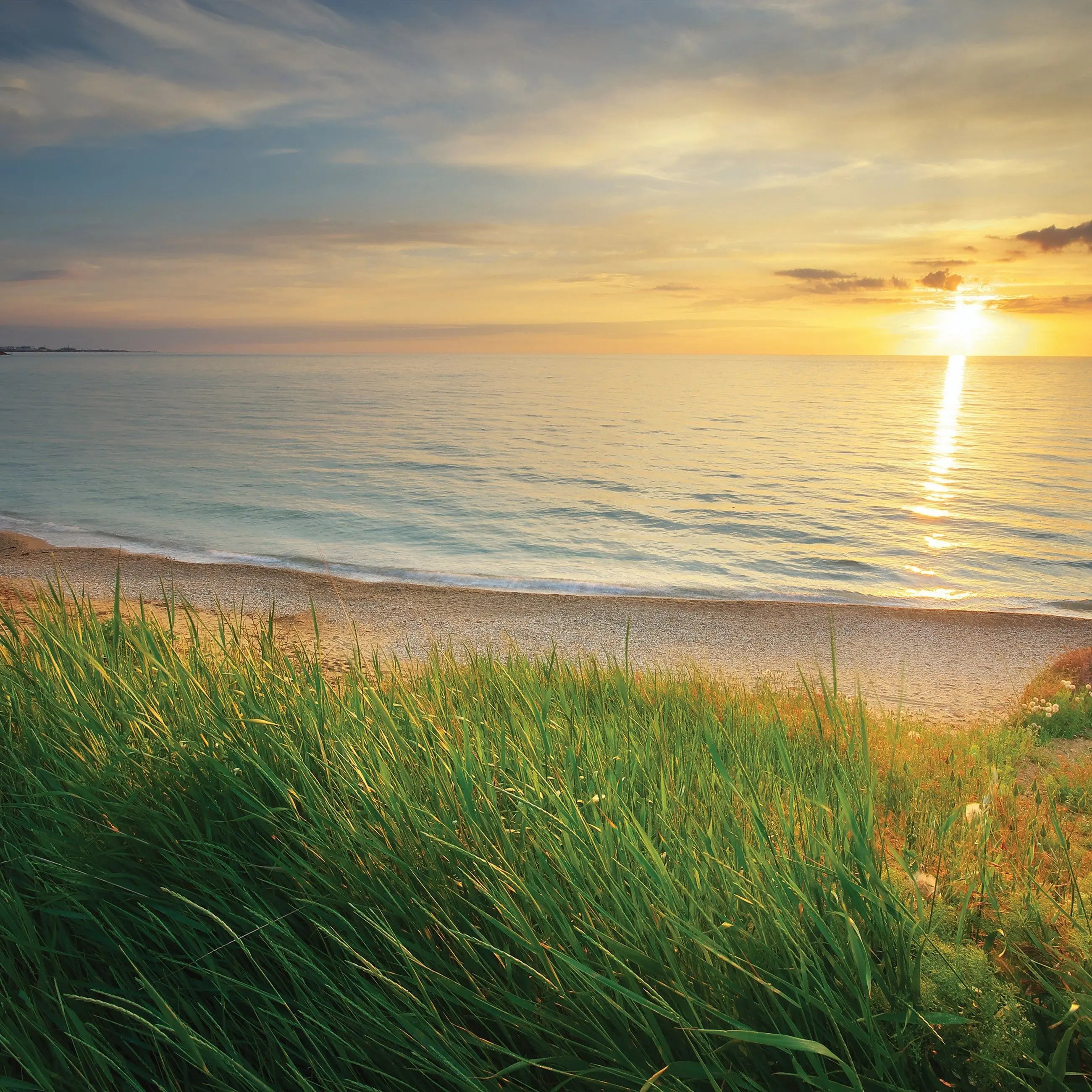 Billede 8 af Fototapet - Grøn kyst med solnedgang over havet