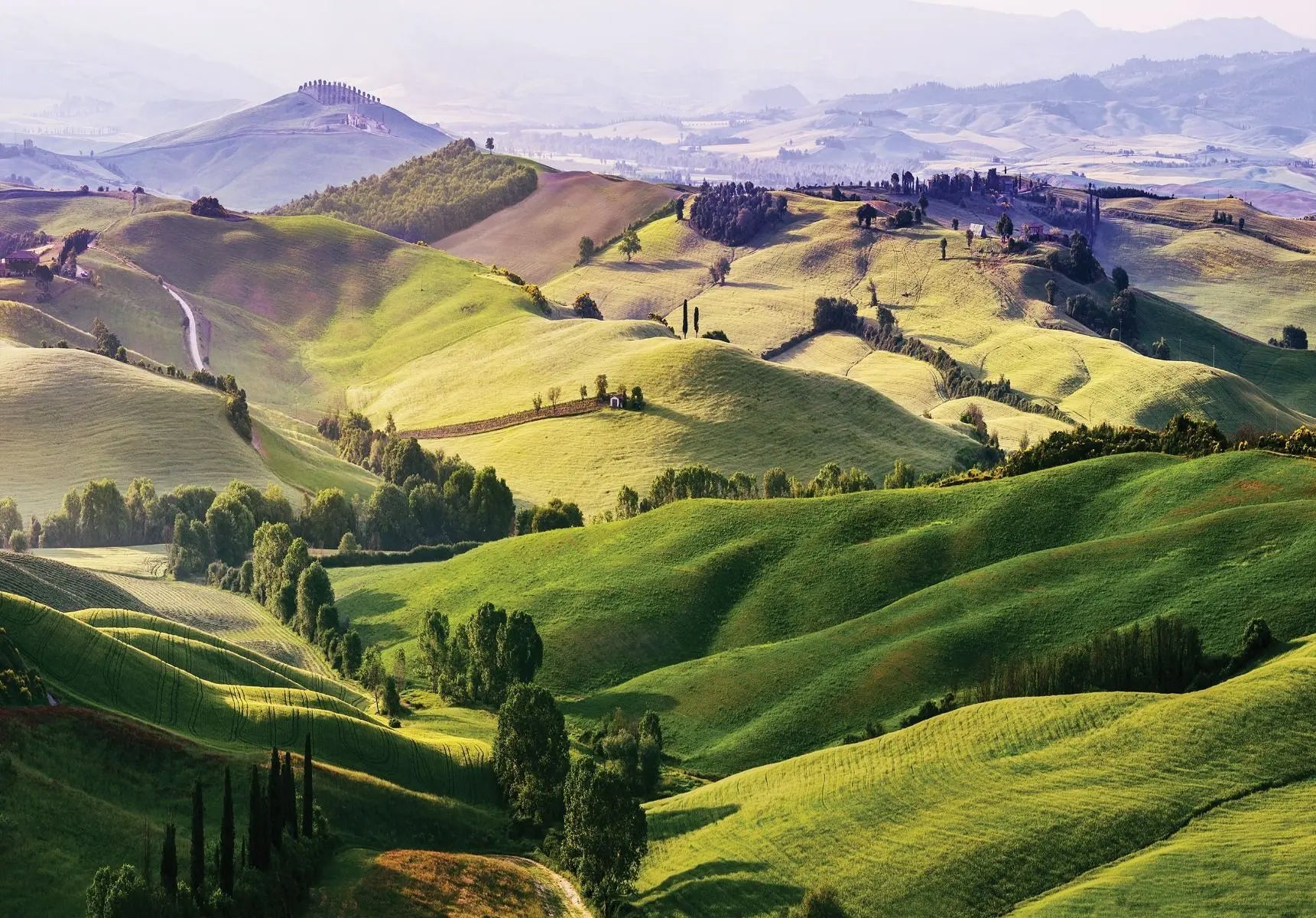 Billede 1 af Fototapet - Grønne bakker i Toscana Italien