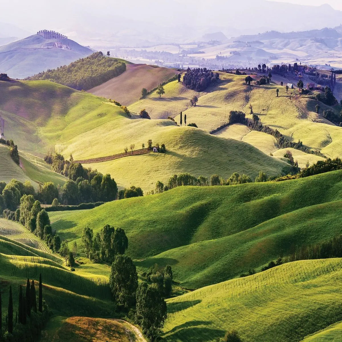 Billede 2 af Fototapet - Grønne bakker i Toscana Italien