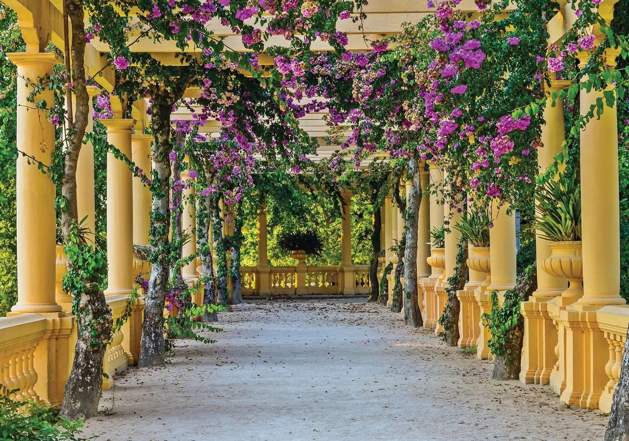 Billede 1 af Fototapet - Gul søjlegang med lilla blomster