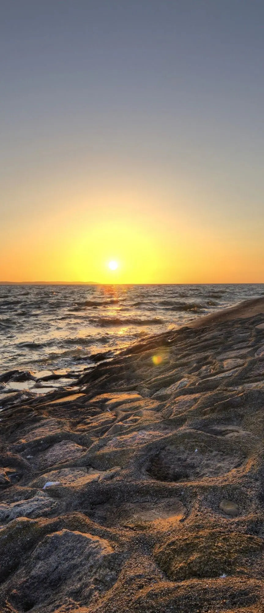 Billede 14 af Fototapet - Hvidt fyr ved havet i solnedgang