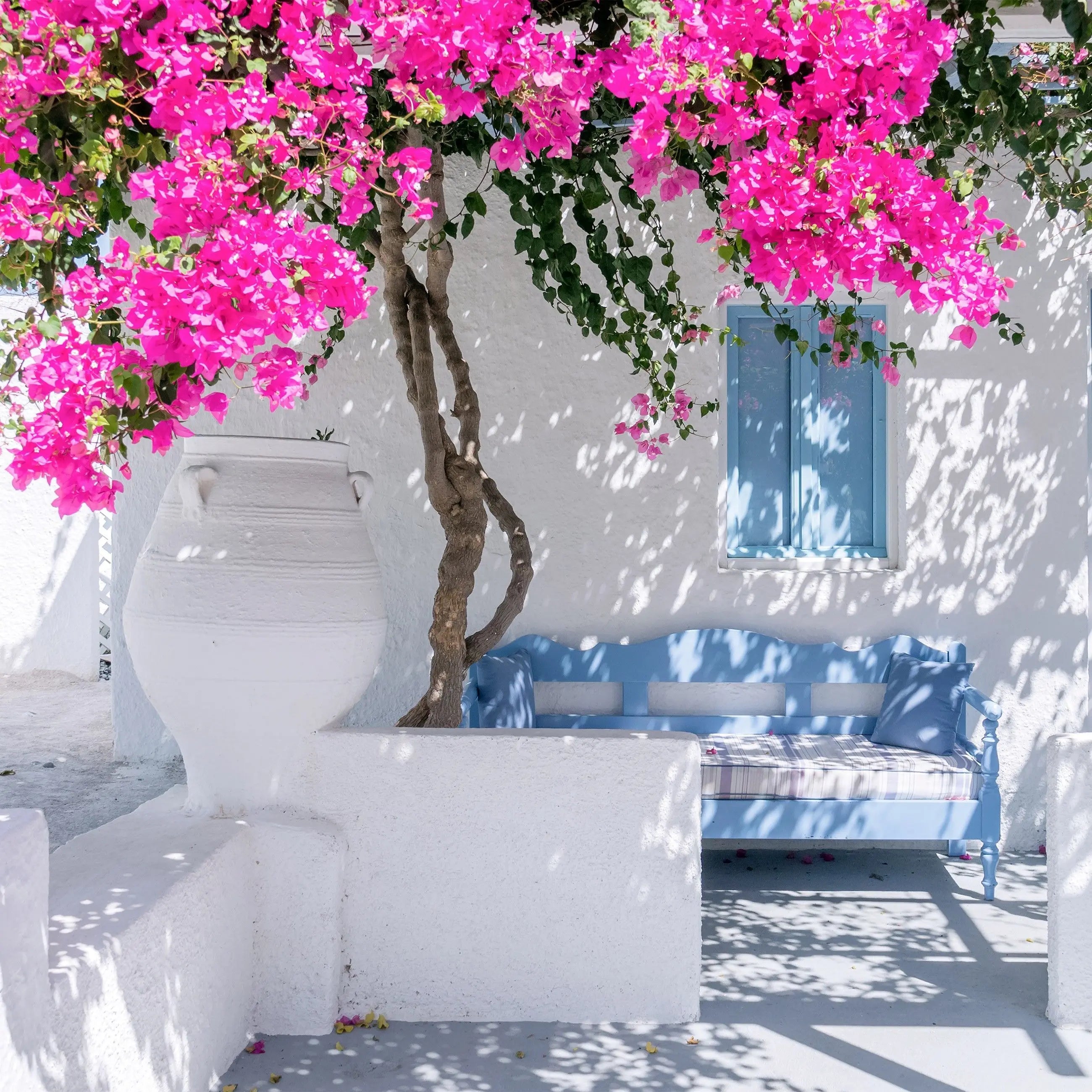 Billede 2 af Fototapet - Hvidt hus med blå vinduer og pink bougainvillea