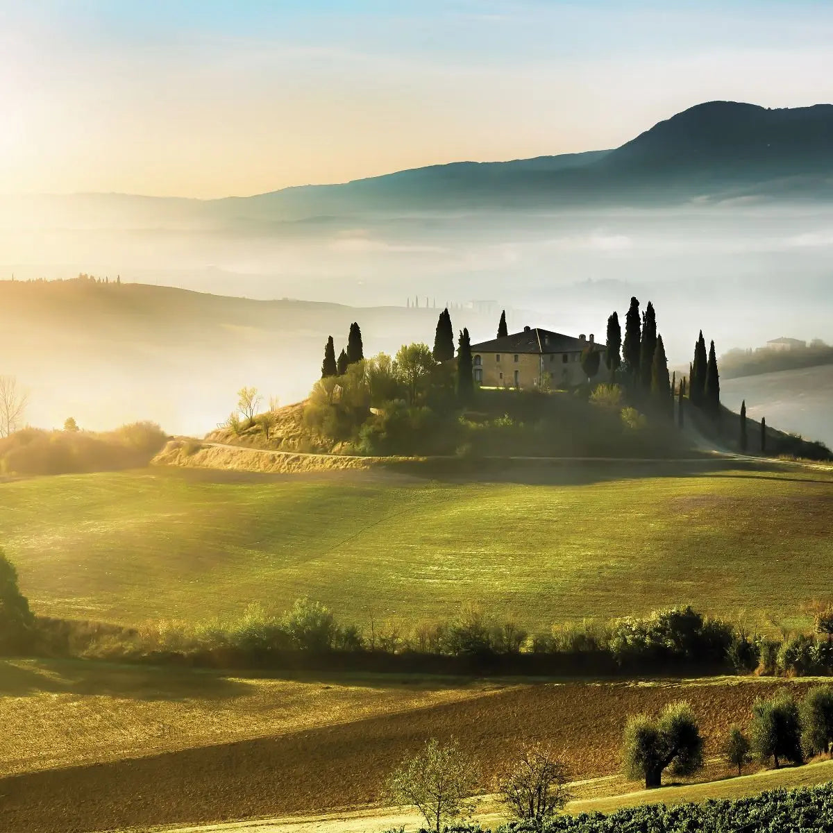 Billede 7 af Fototapet - Landskab med bakker og villa i Toscana ved solopgang