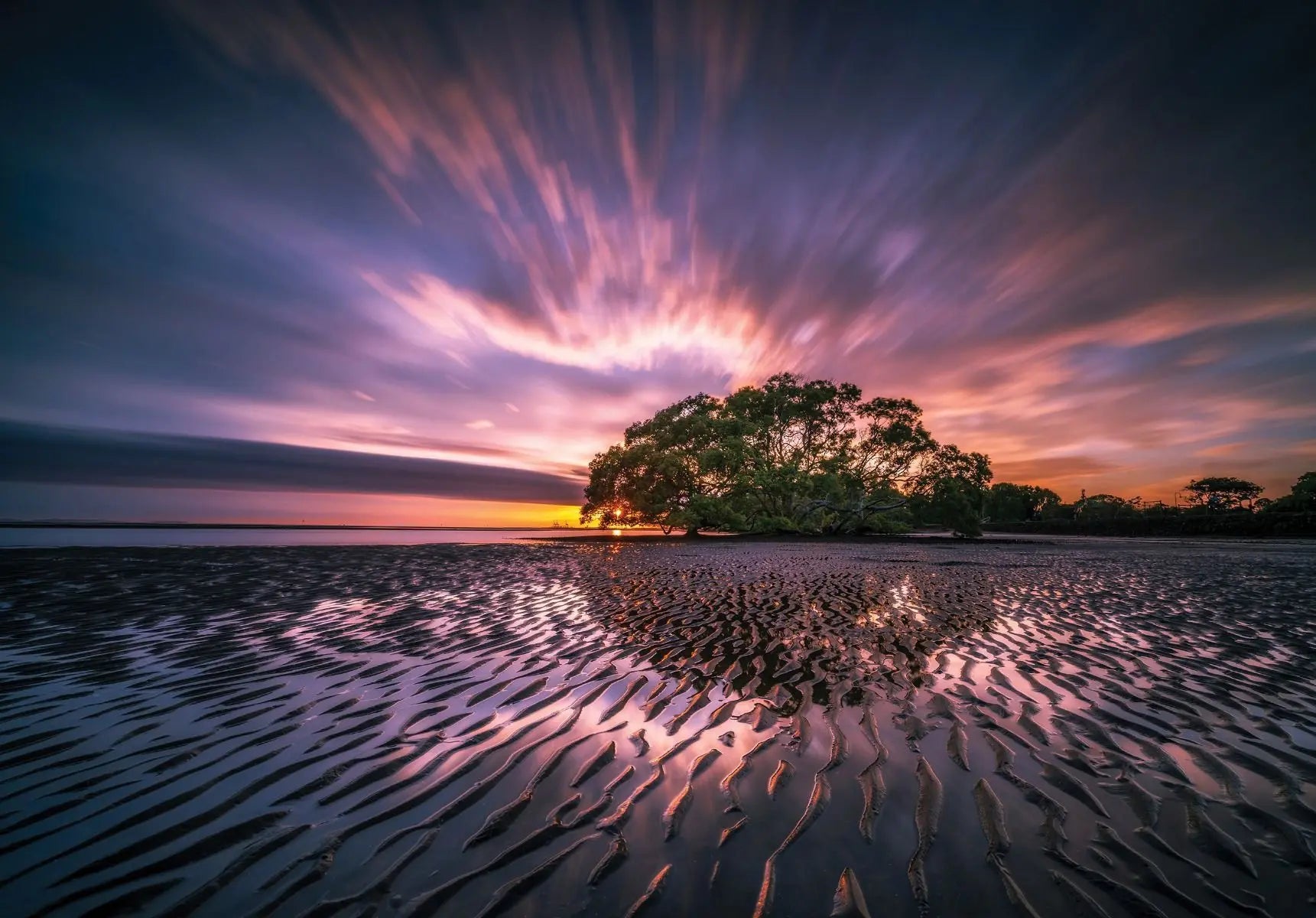 Billede 1 af Fototapet - Lavendel ved solnedgang med træ i silhuet