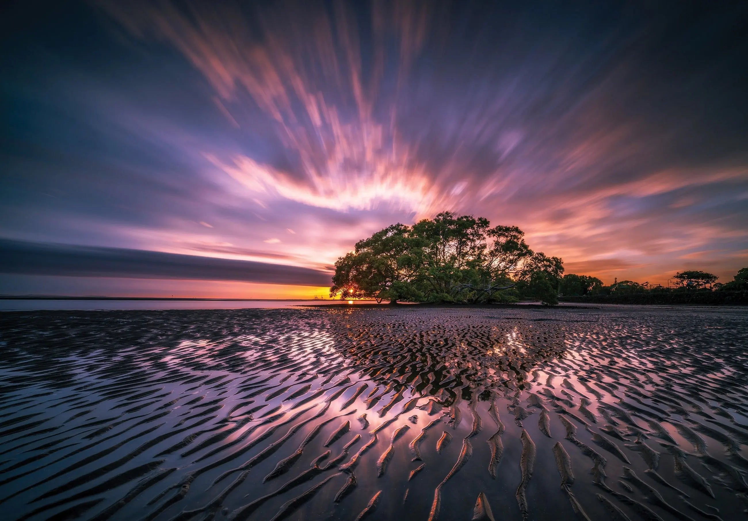 Billede 8 af Fototapet - Lavendel ved solnedgang med træ i silhuet