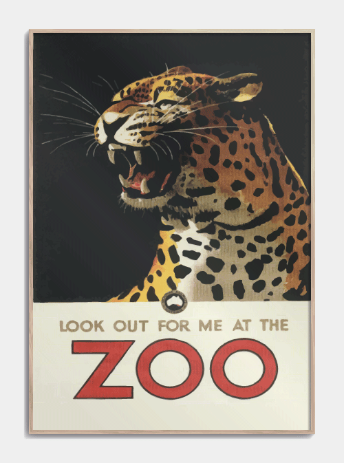 Leopard Zoo plakat 50X70cm. - Køb retro plakater med tigerdyr fra zoologisk have