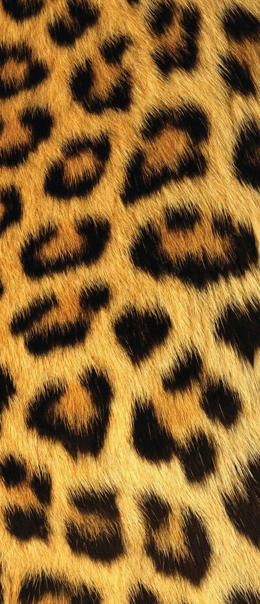 Billede 11 af Fototapet - Leopardmønster pels