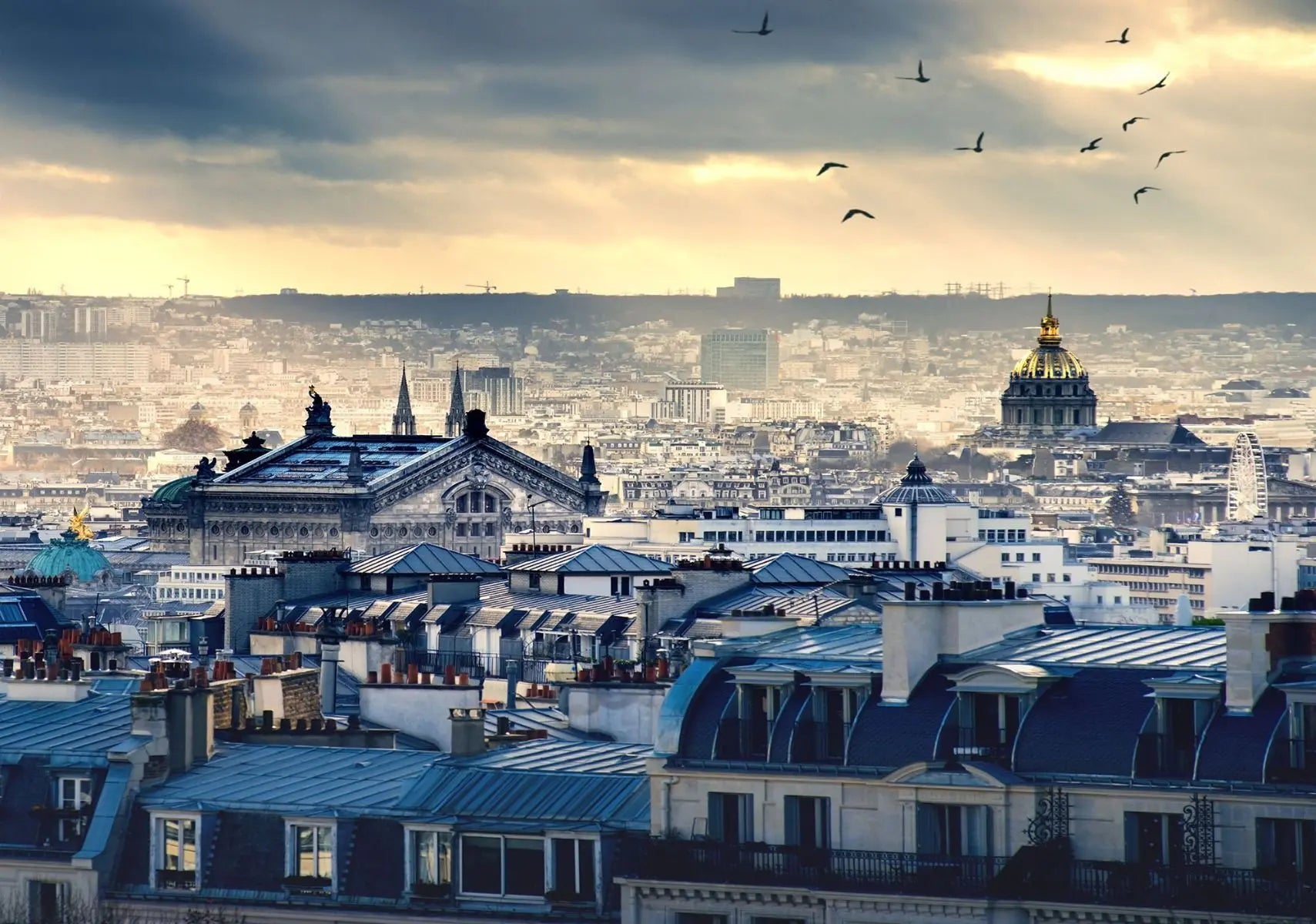 Billede 1 af Fototapet - Parisiske hustage med kupler og fugle