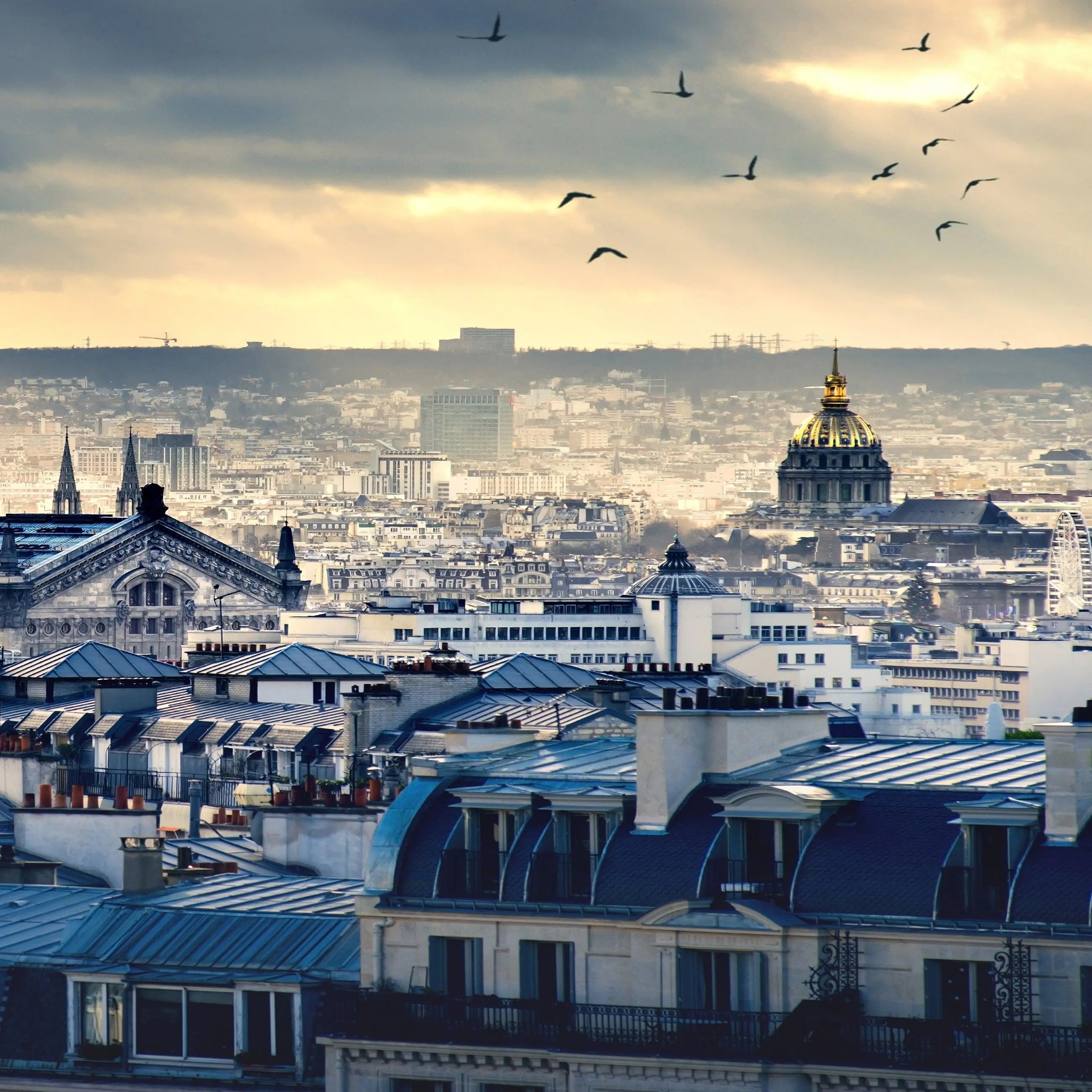 Billede 9 af Fototapet - Parisiske hustage med kupler og fugle