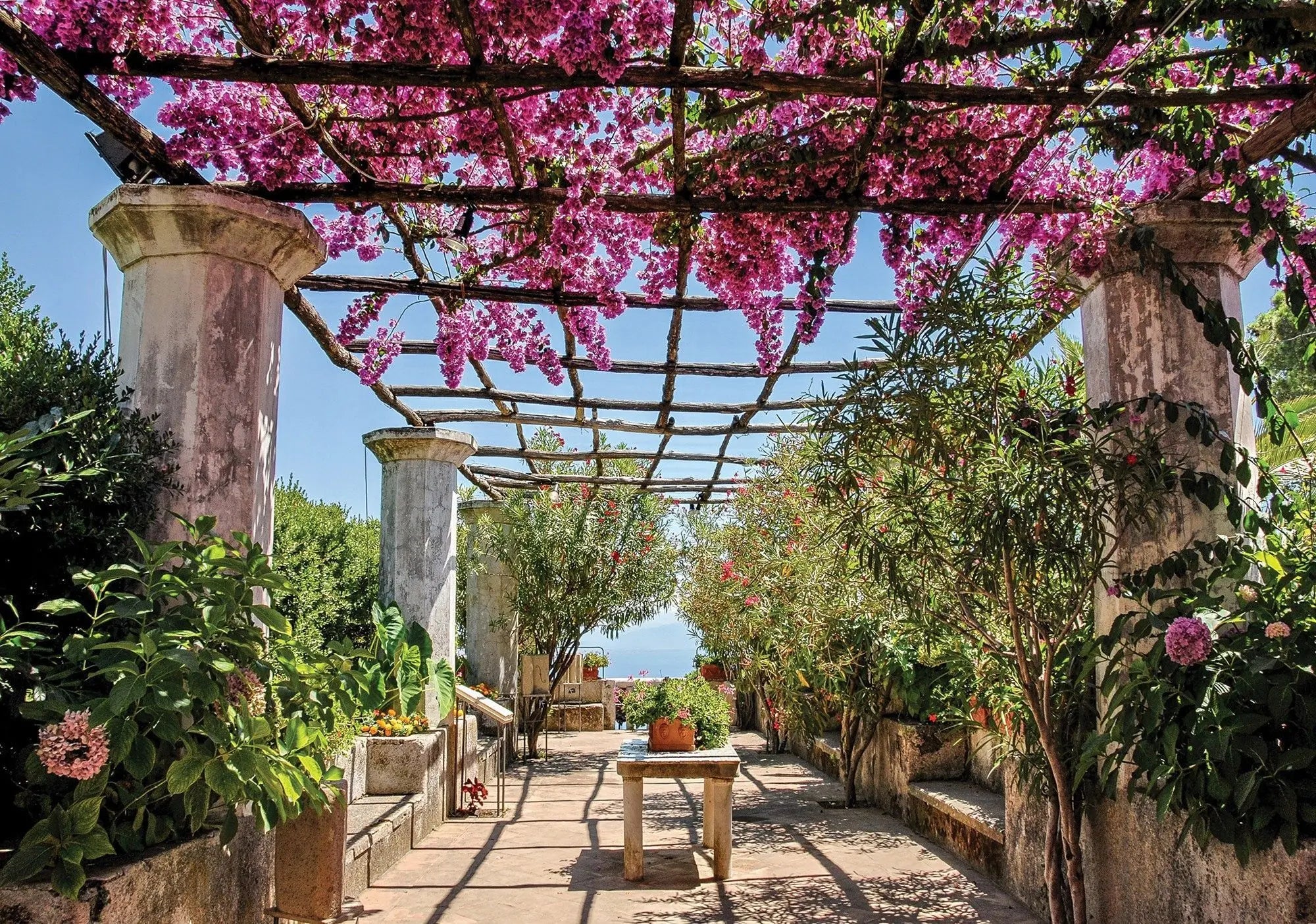 Billede 1 af Fototapet - Pergola med pink blomster og marmor søjler