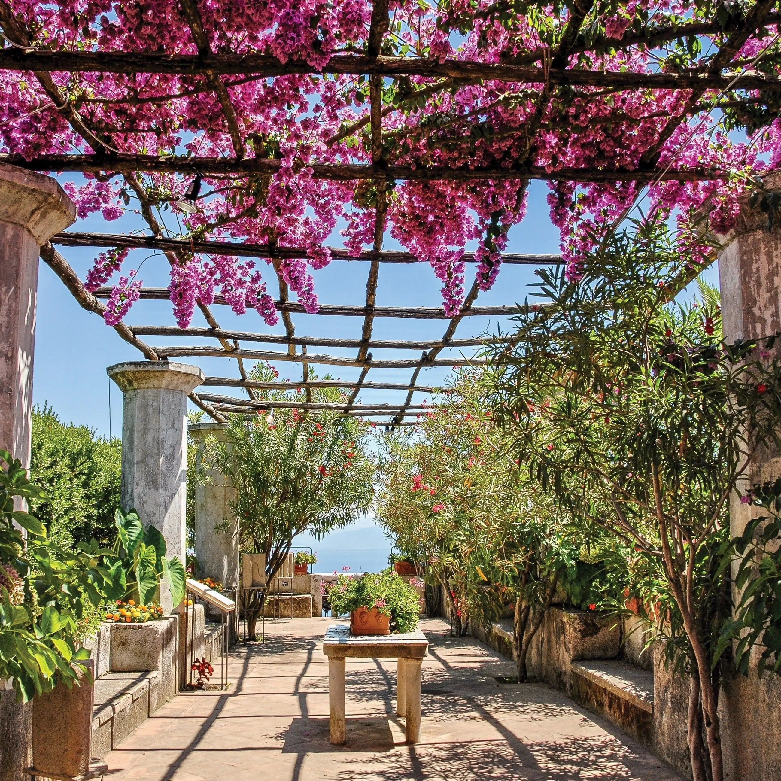 Billede 9 af Fototapet - Pergola med pink blomster og marmor søjler