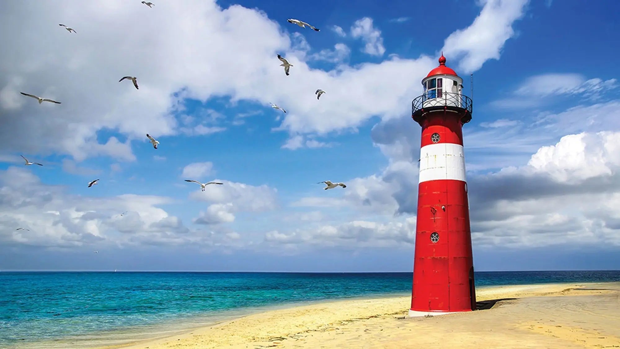 Billede 2 af Fototapet - Rød og hvidt fyrtårn ved sandstrand med blå himmel og måger