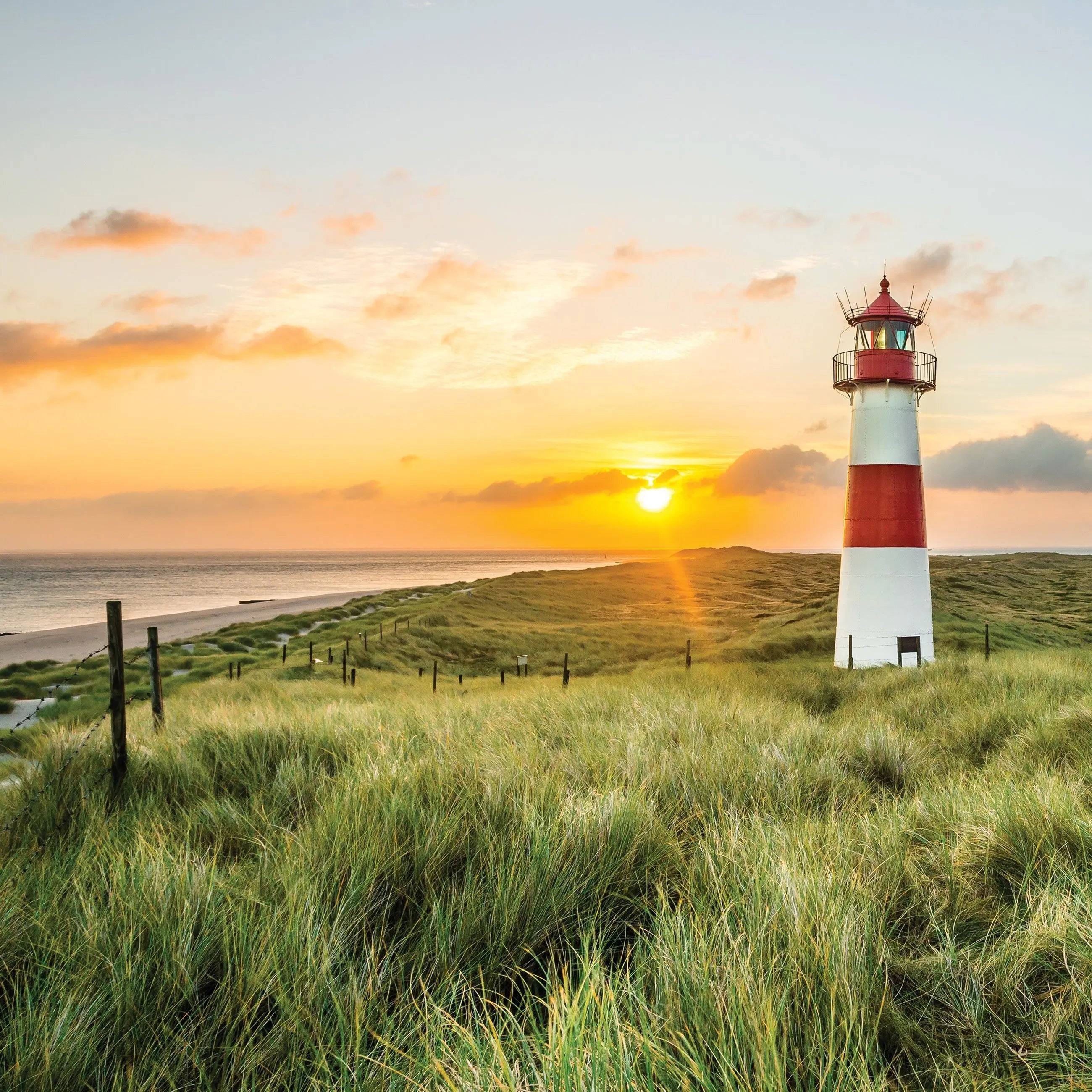 Billede 3 af Fototapet - Rødhvidt fyrtårn ved solnedgang over klitter