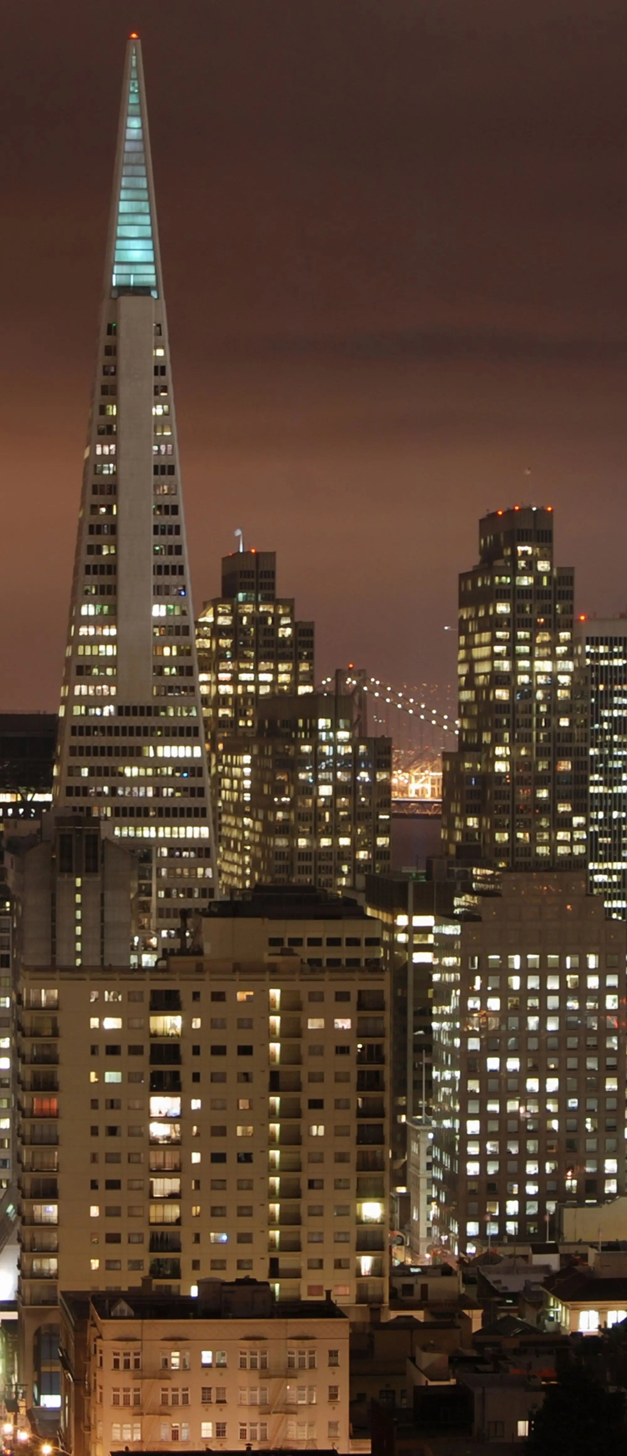 Billede 21 af Fototapet - San Francisco skyline med Bay Bridge om natten