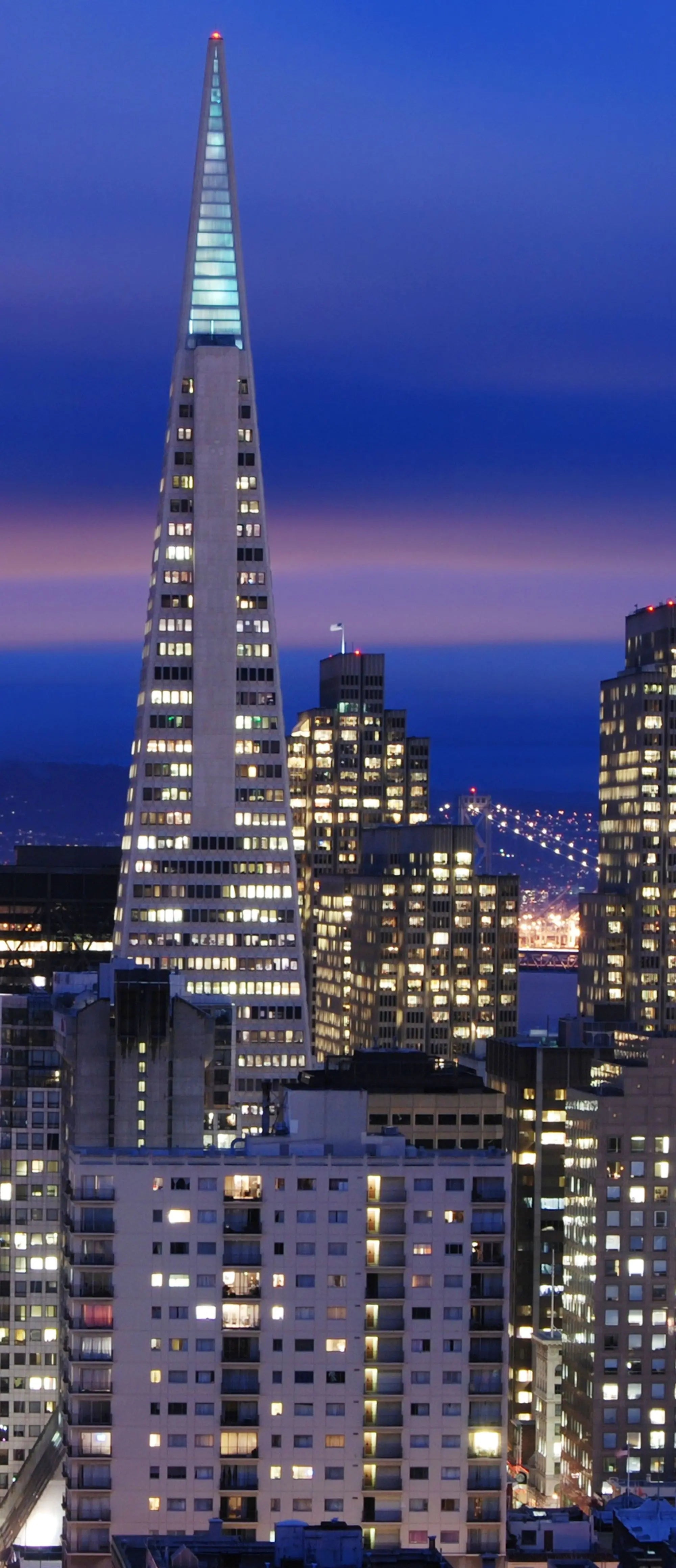 Billede 20 af Fototapet - San Francisco skyline med Transamerica-pyramiden og Bay Bridge