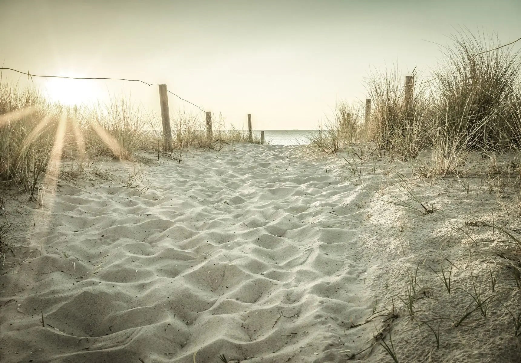 Billede 1 af Fototapet - Sandsti mellem klitter ved solnedgang