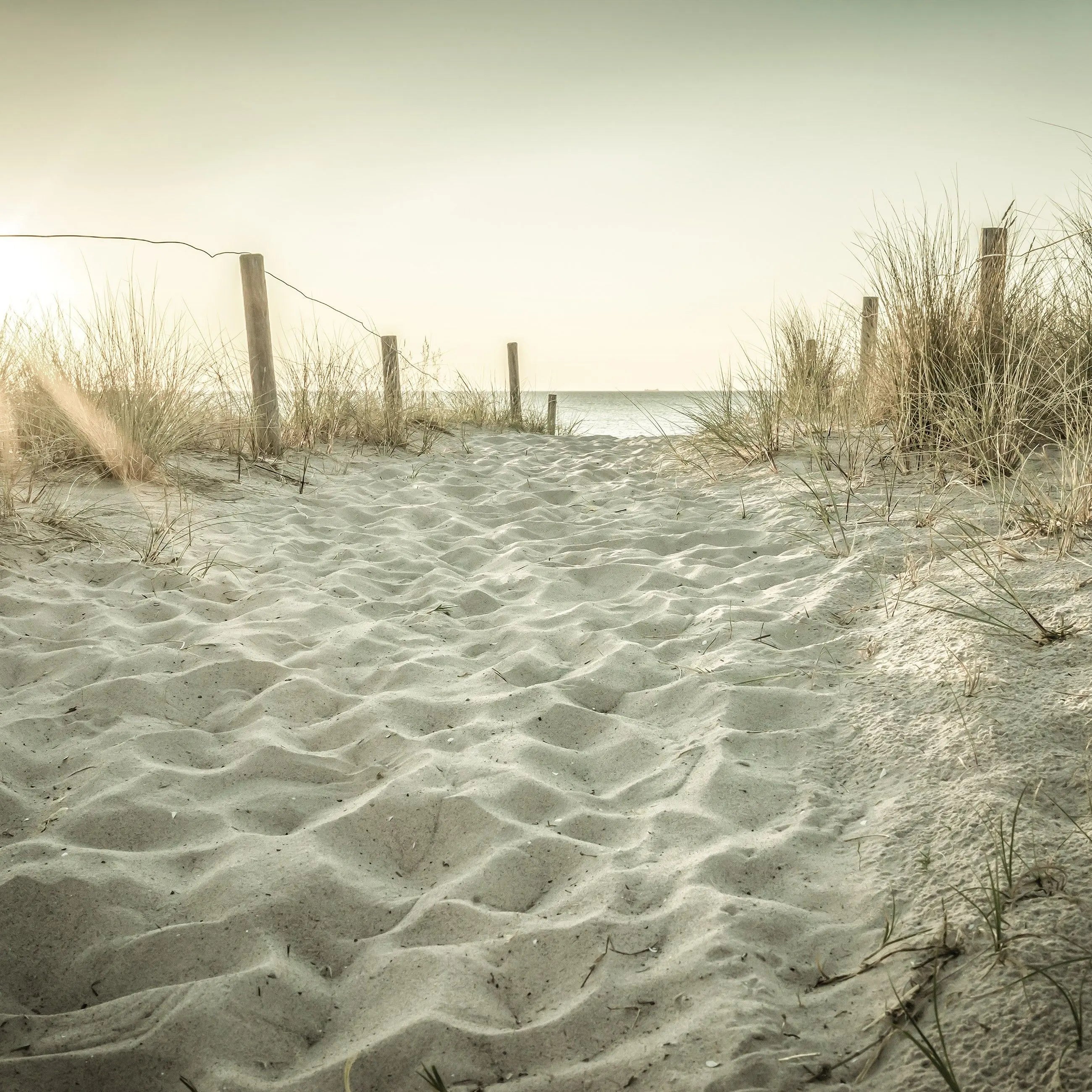 Billede 15 af Fototapet - Sandsti mellem klitter ved solnedgang