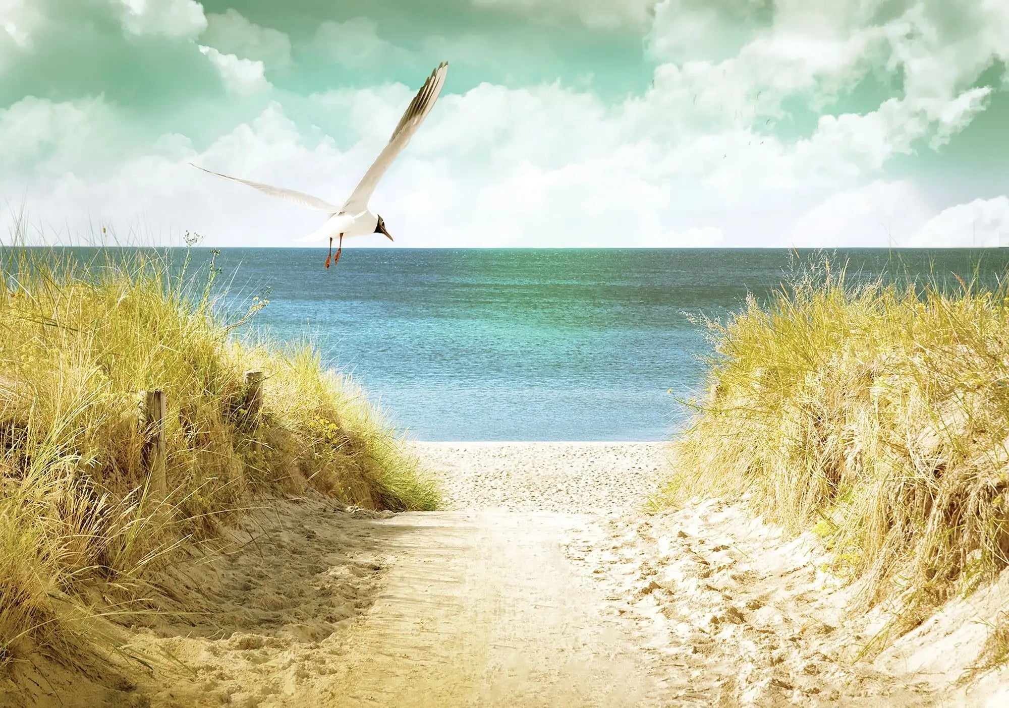 Billede 1 af Fototapet - Sandsti til havet med flyvende måge