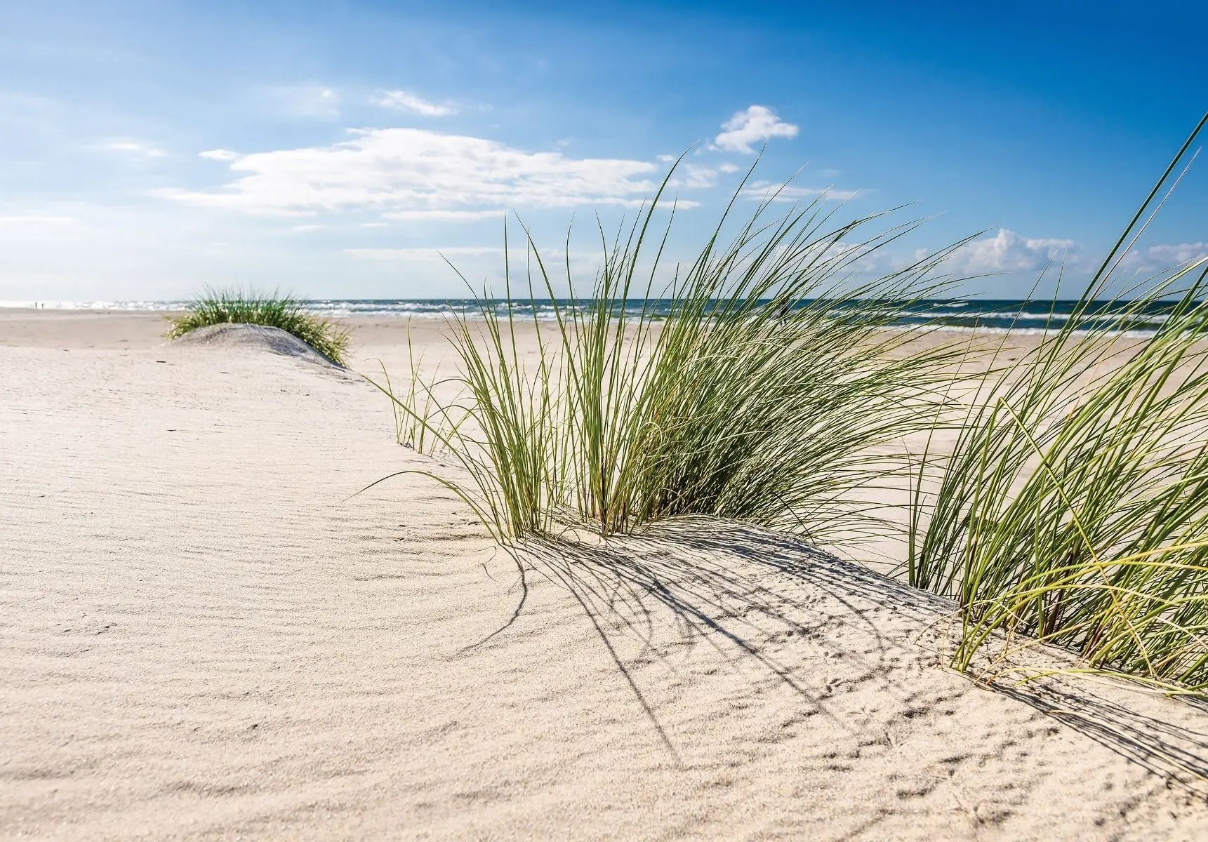 Billede 1 af Fototapet - Sandstrand med klitter og hav