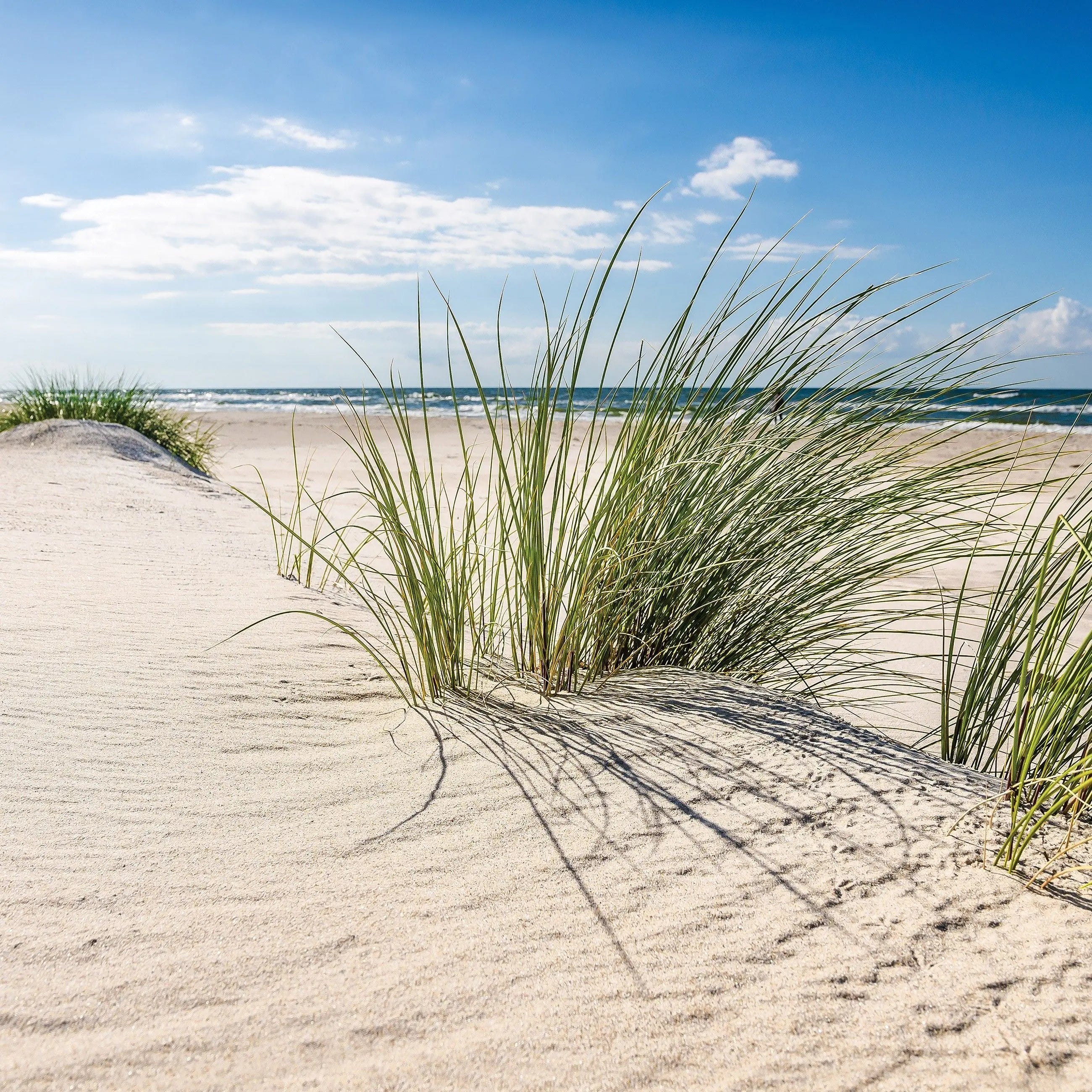 Billede 15 af Fototapet - Sandstrand med klitter og hav