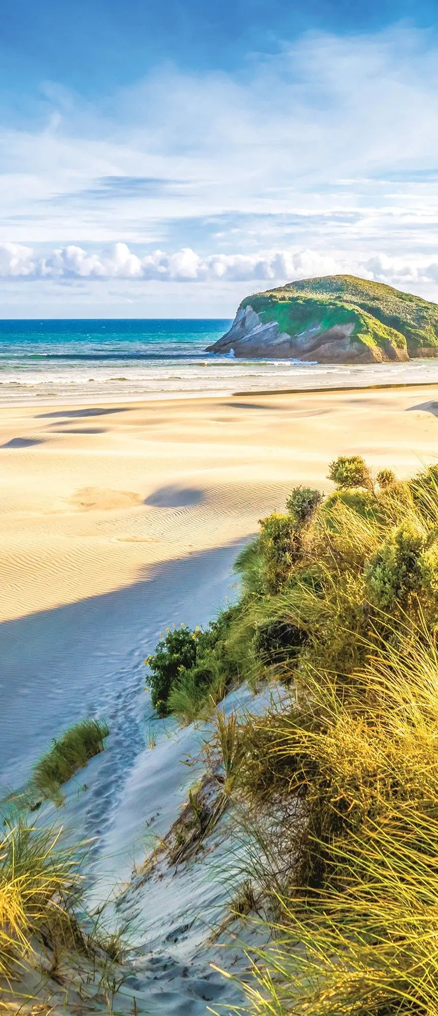 Billede 15 af Fototapet - Sandstrand med klitter og hav på solrig dag