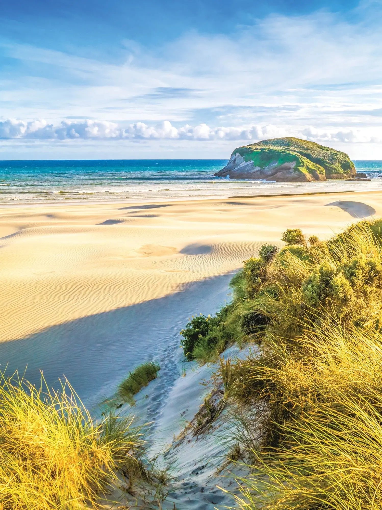 Billede 16 af Fototapet - Sandstrand med klitter og hav på solrig dag