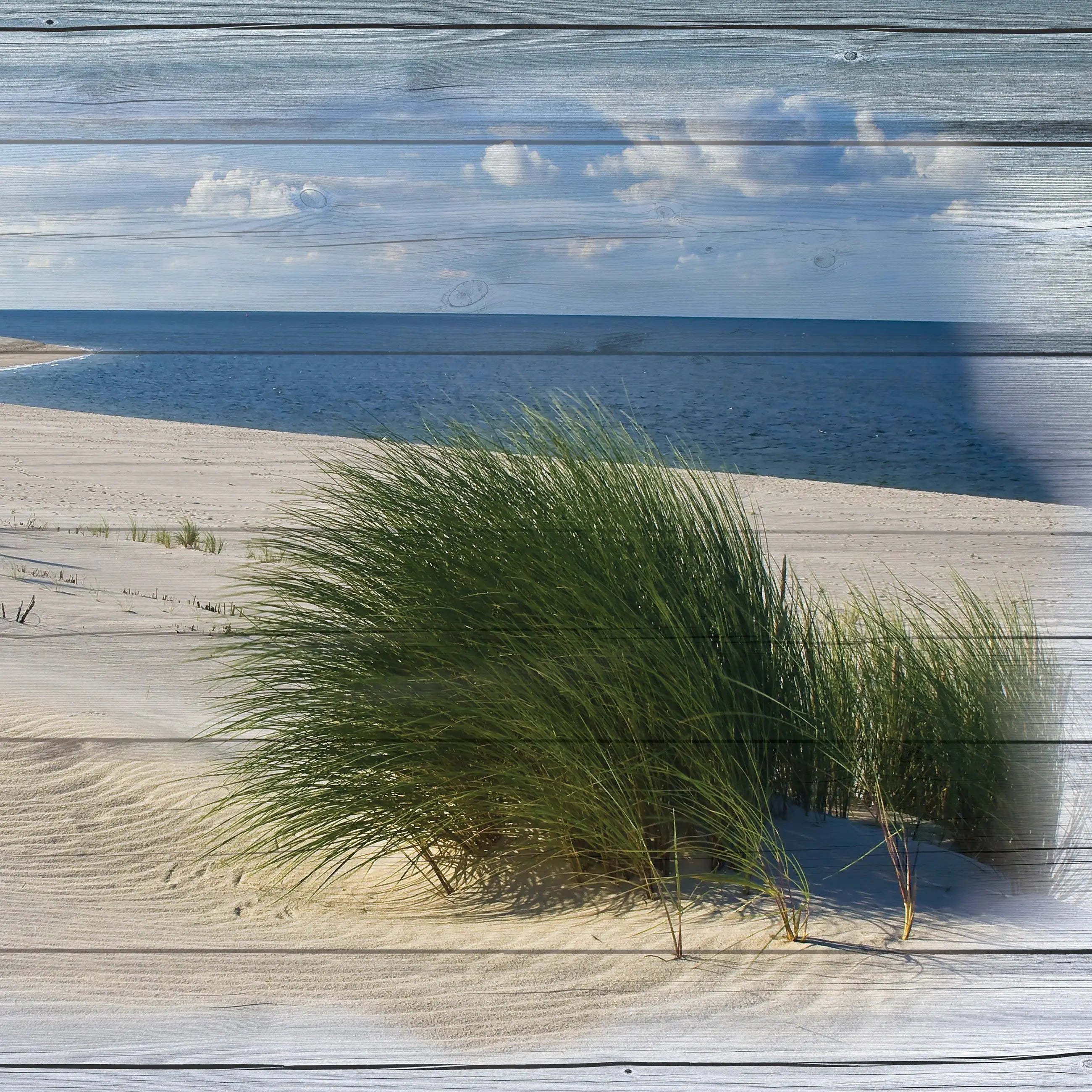 Billede 9 af Fototapet - Sandstrand med marehalm og blå himmel