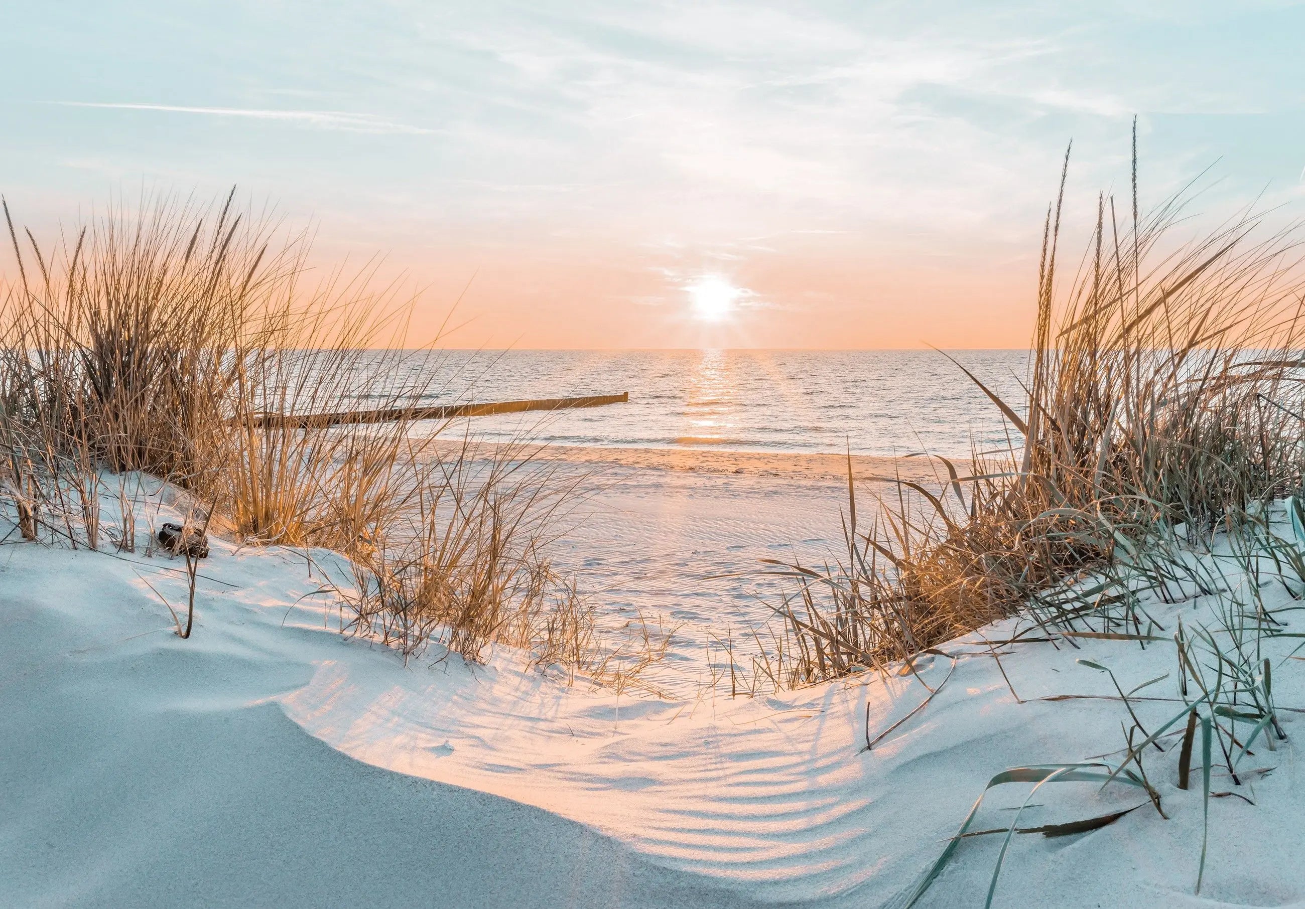 Billede 2 af Fototapet - Sandstrand med marehalm og solnedgang ved havet