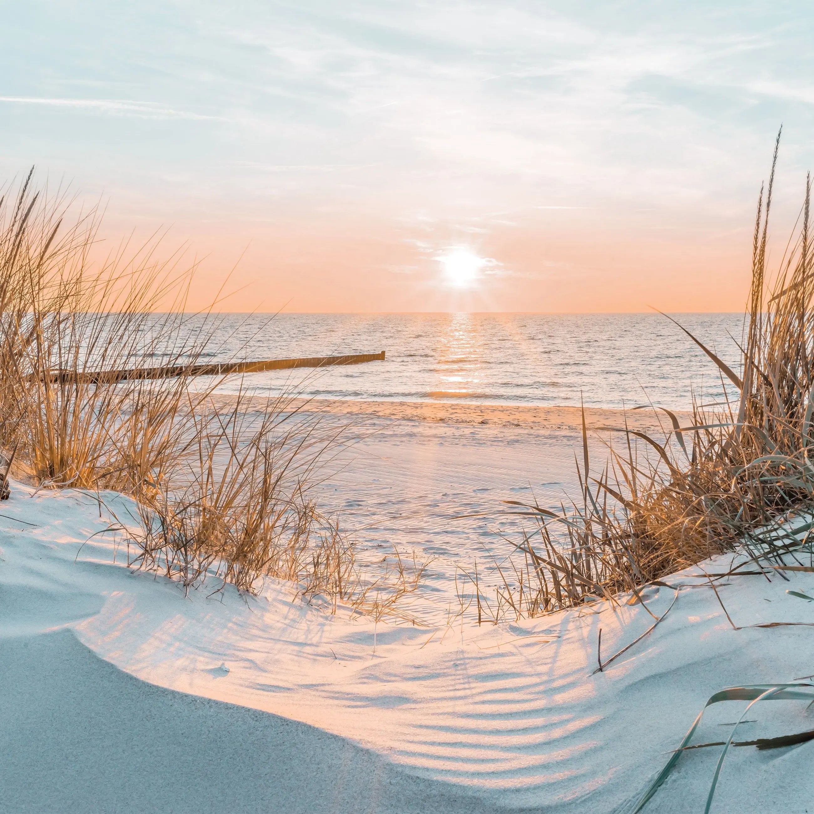 Billede 8 af Fototapet - Sandstrand med marehalm og solnedgang ved havet