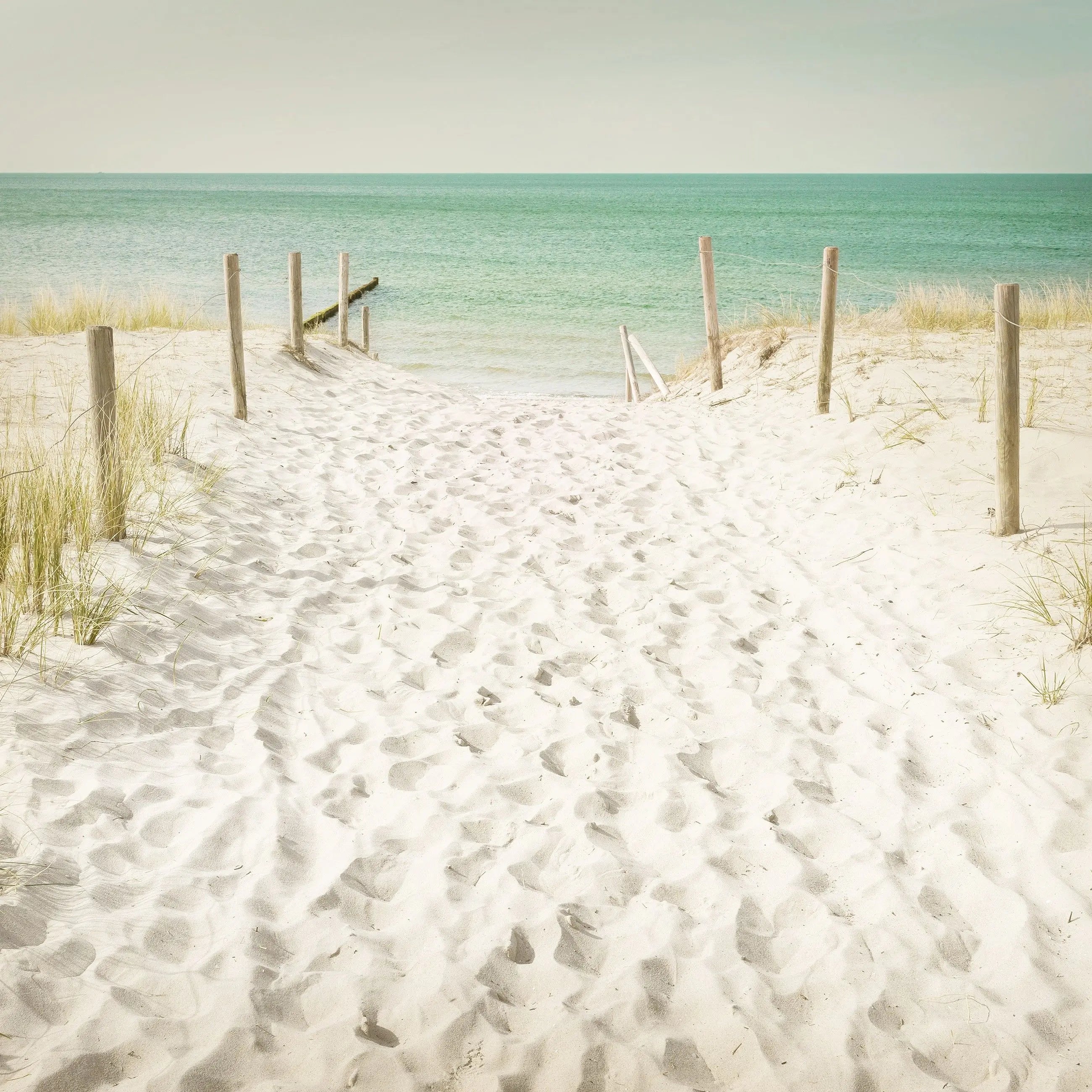 Billede 10 af Fototapet - Sandstrand med træhegn og græs ved havet