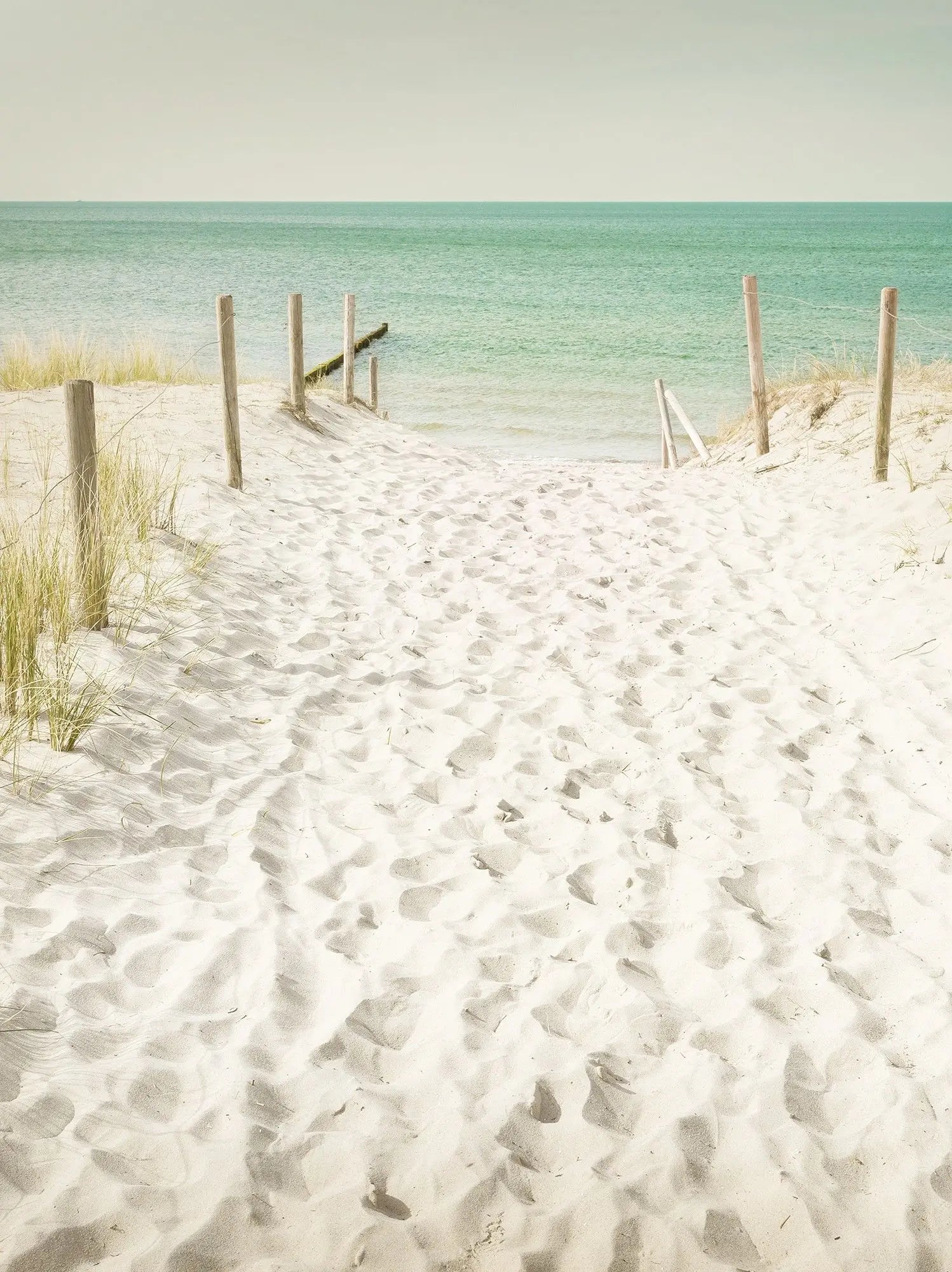 Billede 11 af Fototapet - Sandstrand med træhegn og græs ved havet