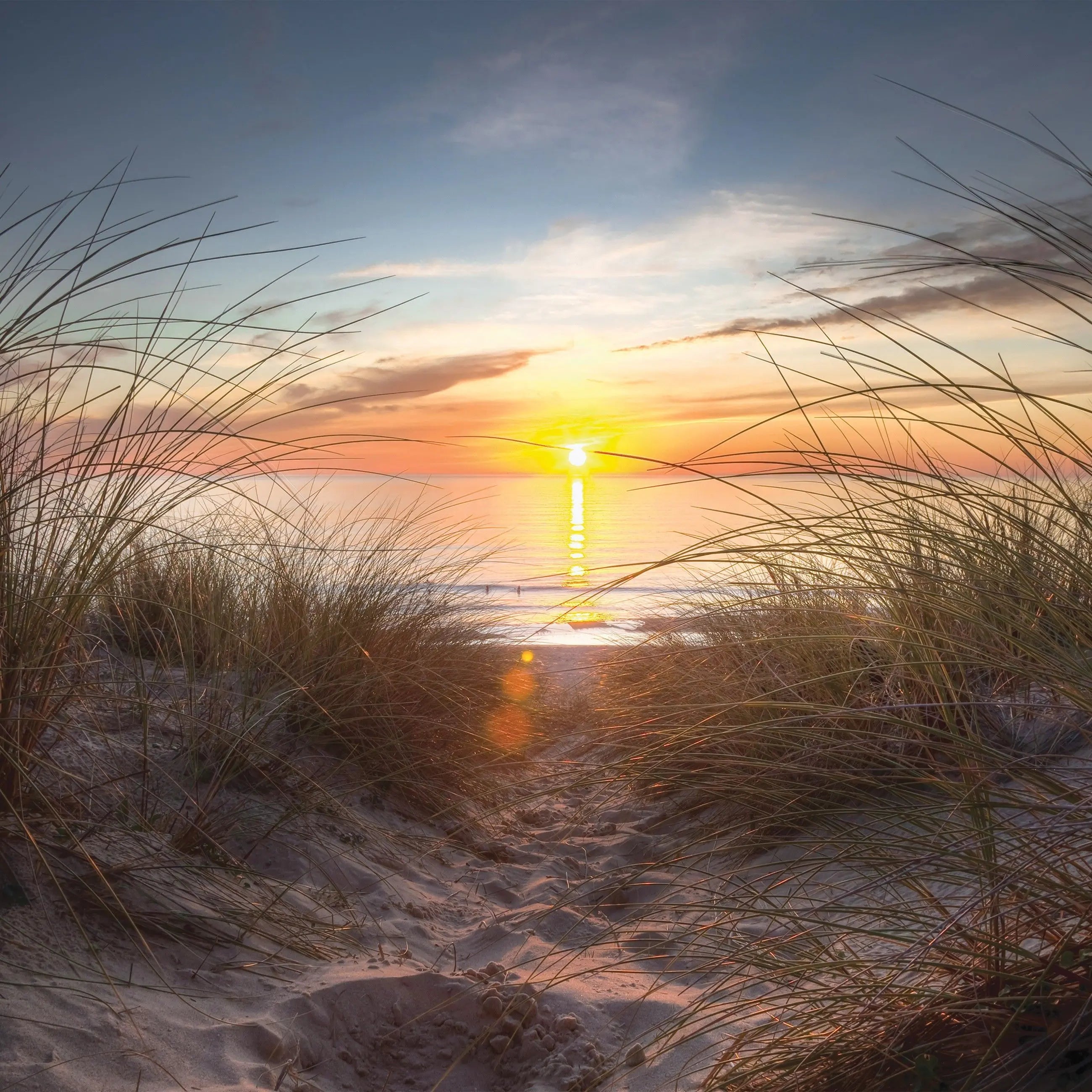 Billede 13 af Fototapet - Solnedgang over klitlandskab ved havet