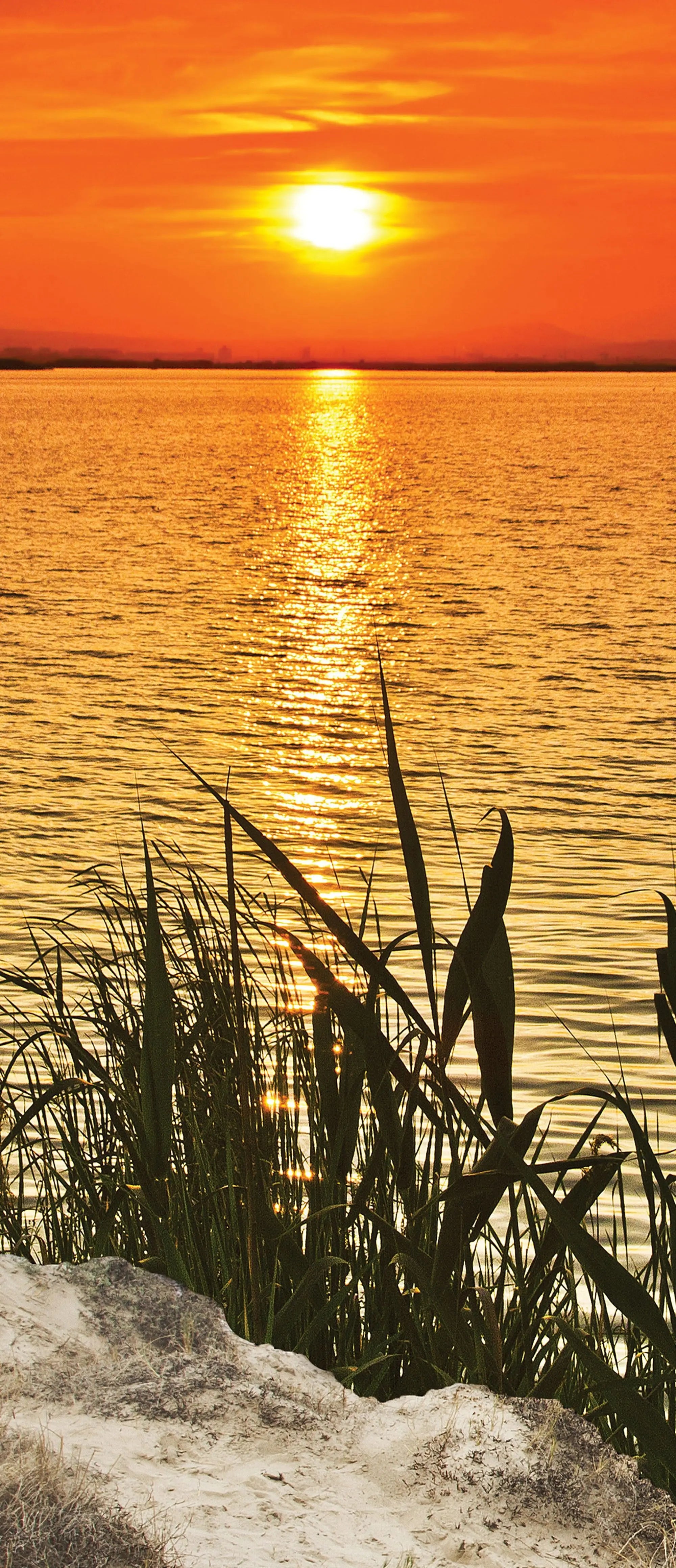 Billede 10 af Fototapet - Solnedgang over sø med siv i forgrunden