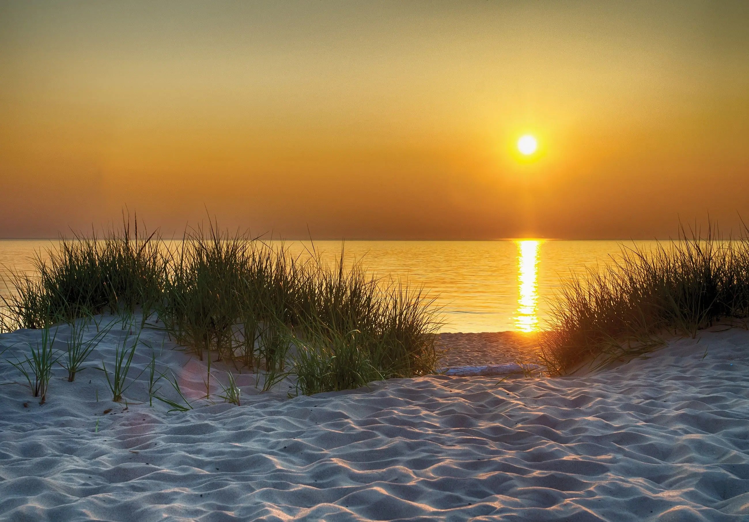 Billede 14 af Fototapet - Solnedgang over strand med græstuer