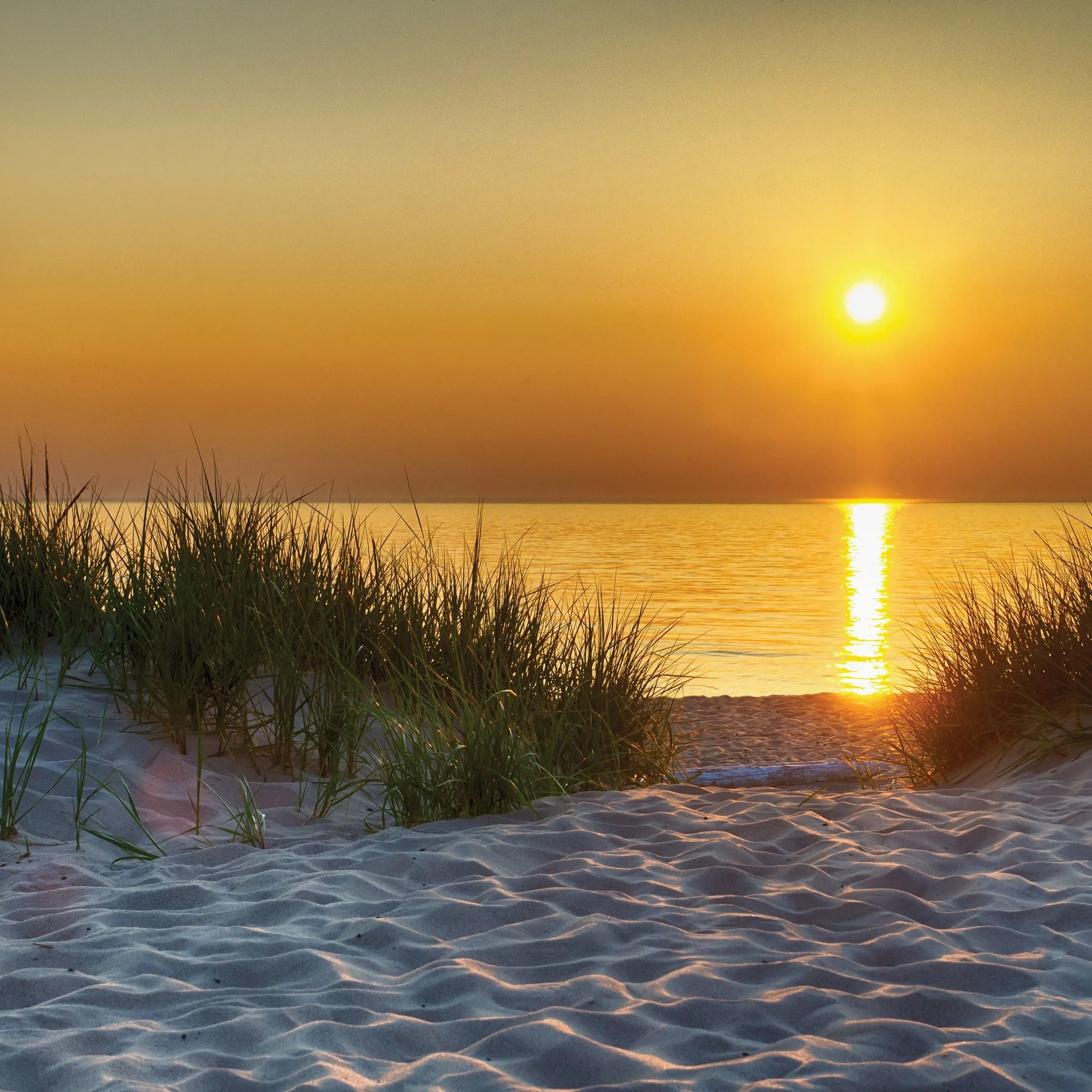 Billede 17 af Fototapet - Solnedgang over strand med græstuer