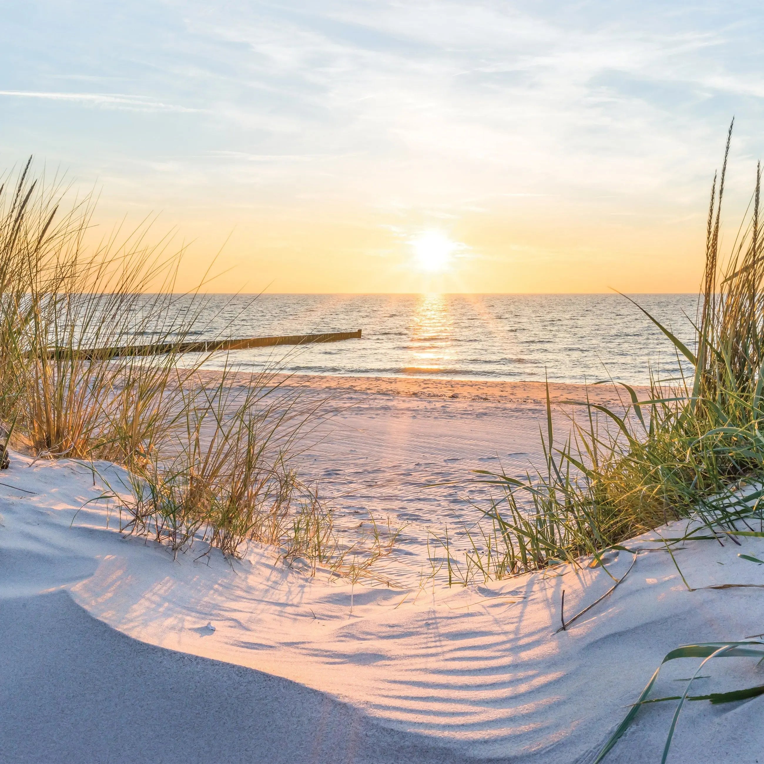 Billede 13 af Fototapet - Solnedgang ved stranden med klitter og græs