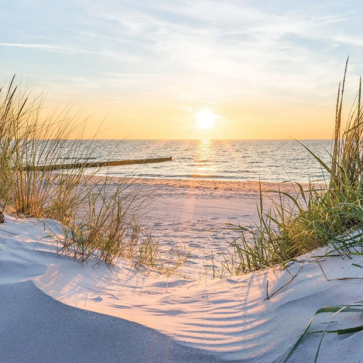 Billede 6 af Fototapet - Solnedgang ved stranden med klitter og græs