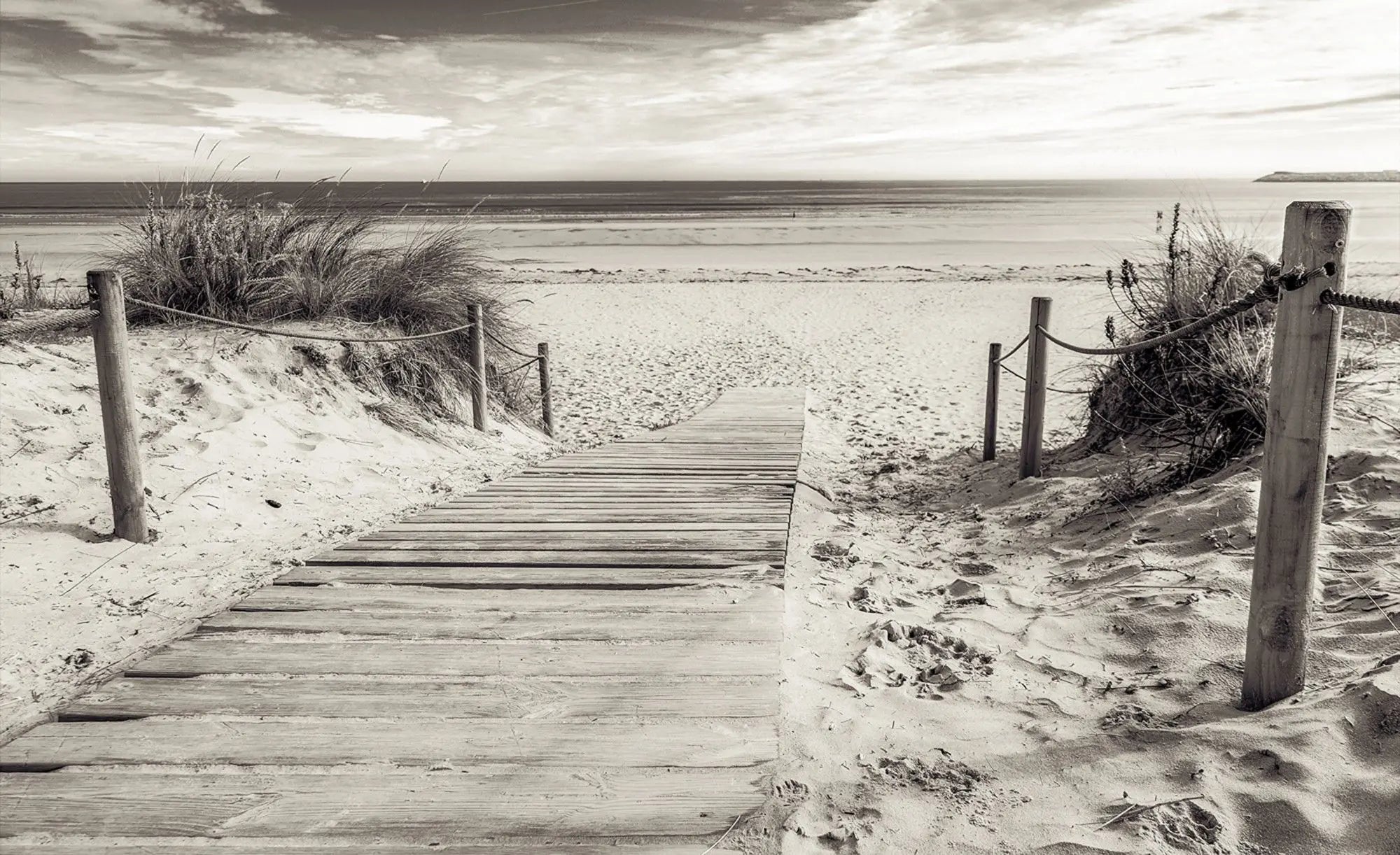 Billede 1 af Fototapet - Sort-hvid strand med træsti og marehalm